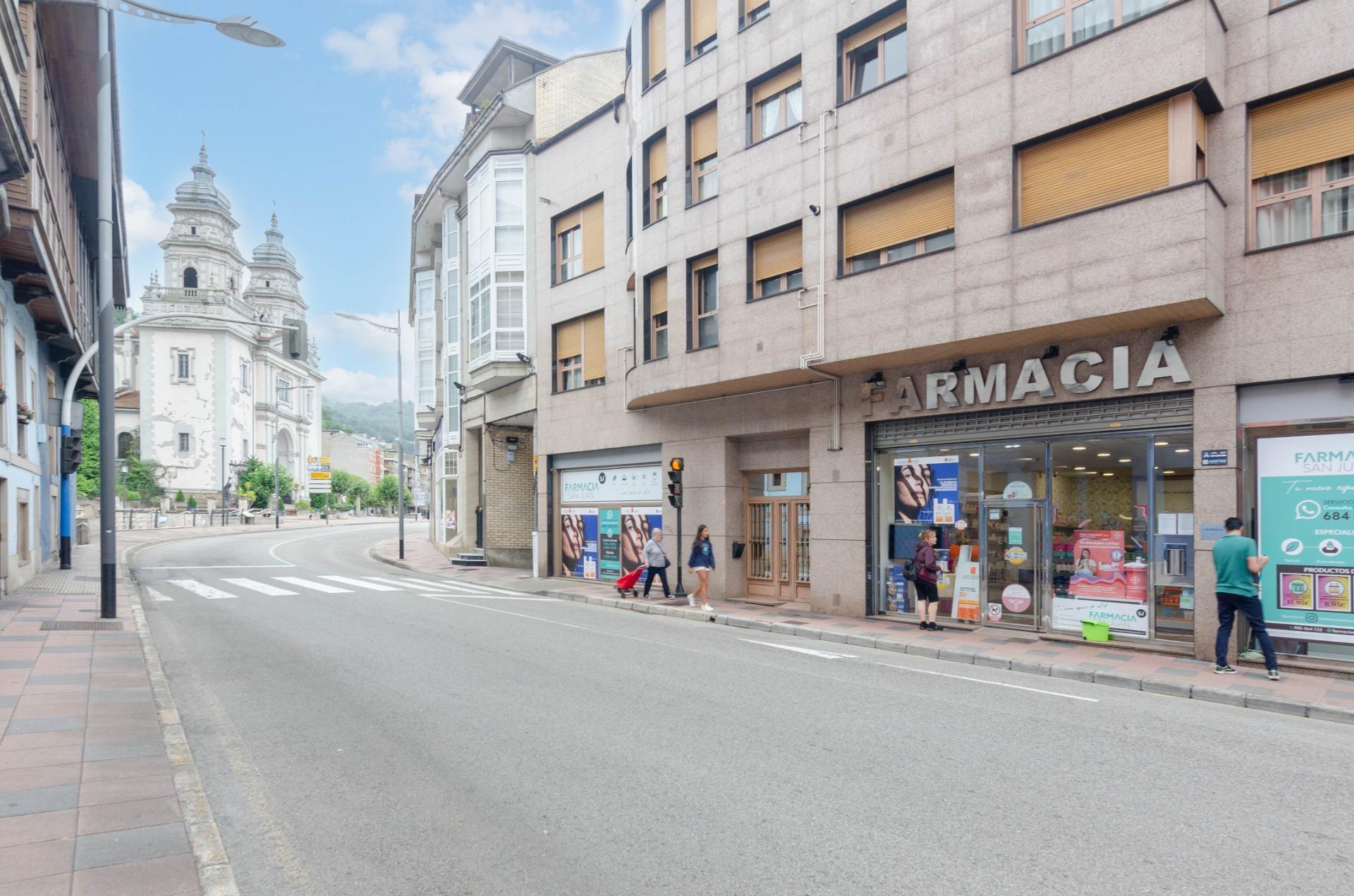 Pisos-Venta-Mieres-2019545-Foto-22