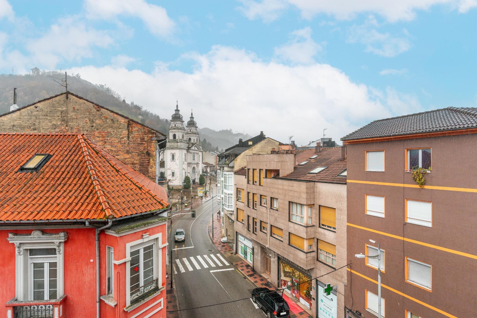 Pisos-Venta-Mieres-2019545-Foto-28