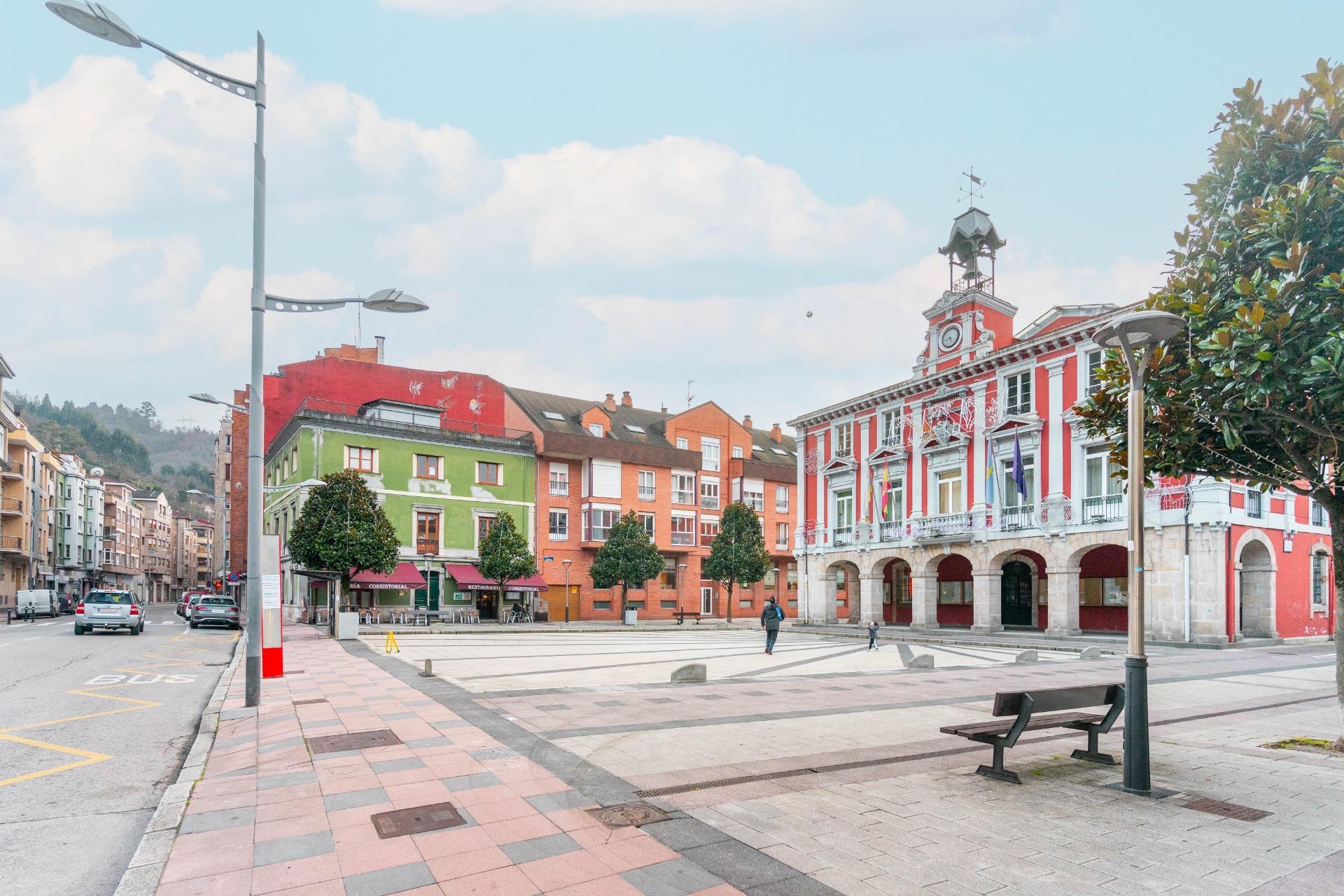 Pisos-Venta-Mieres-2019545-Foto-30