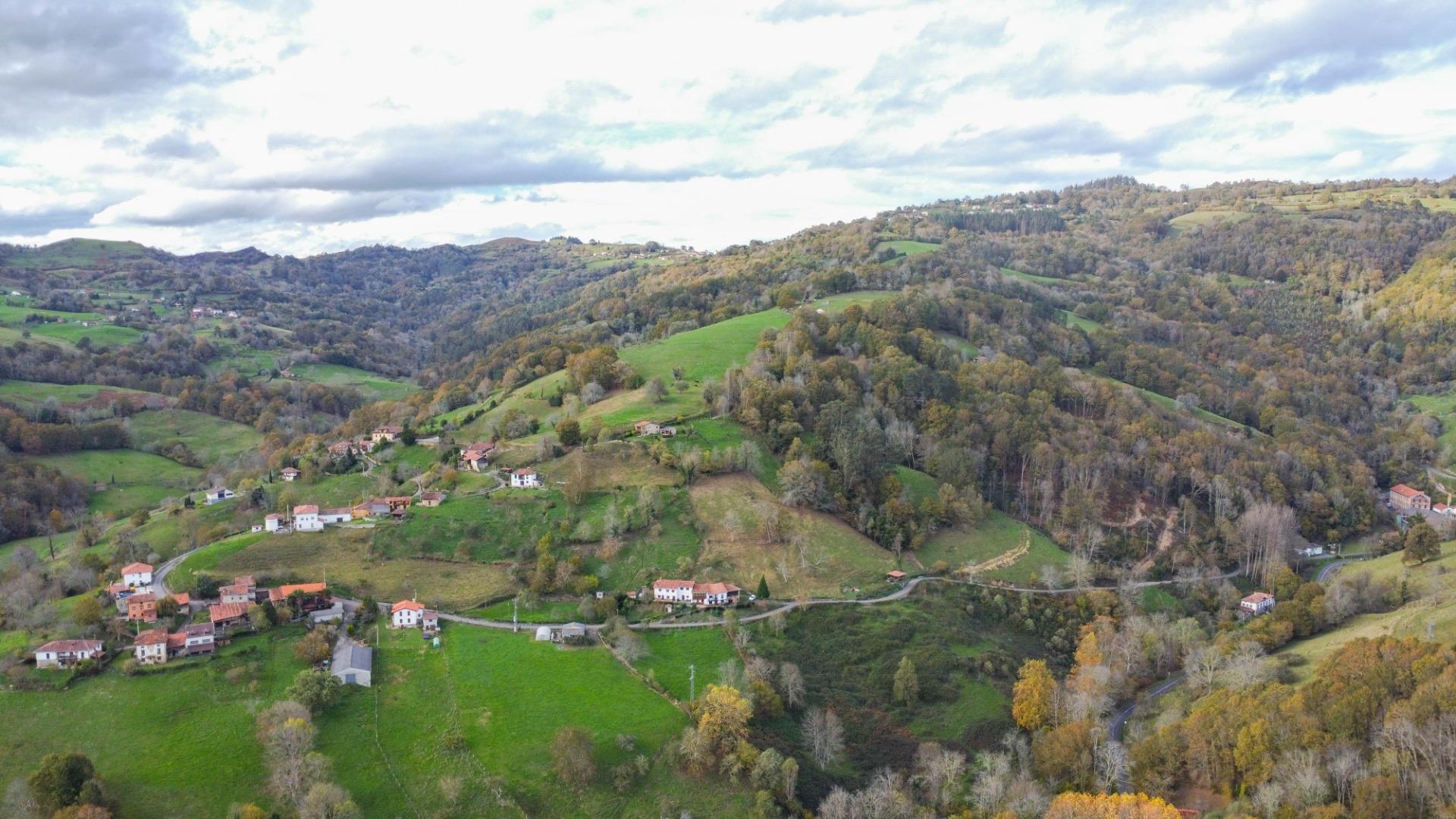 Casas o chalets-Venta-PiloÃ±a-2019548-Foto-40