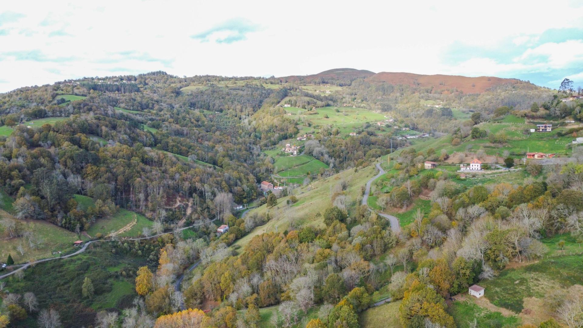 Casas o chalets-Venta-PiloÃ±a-2019548-Foto-38