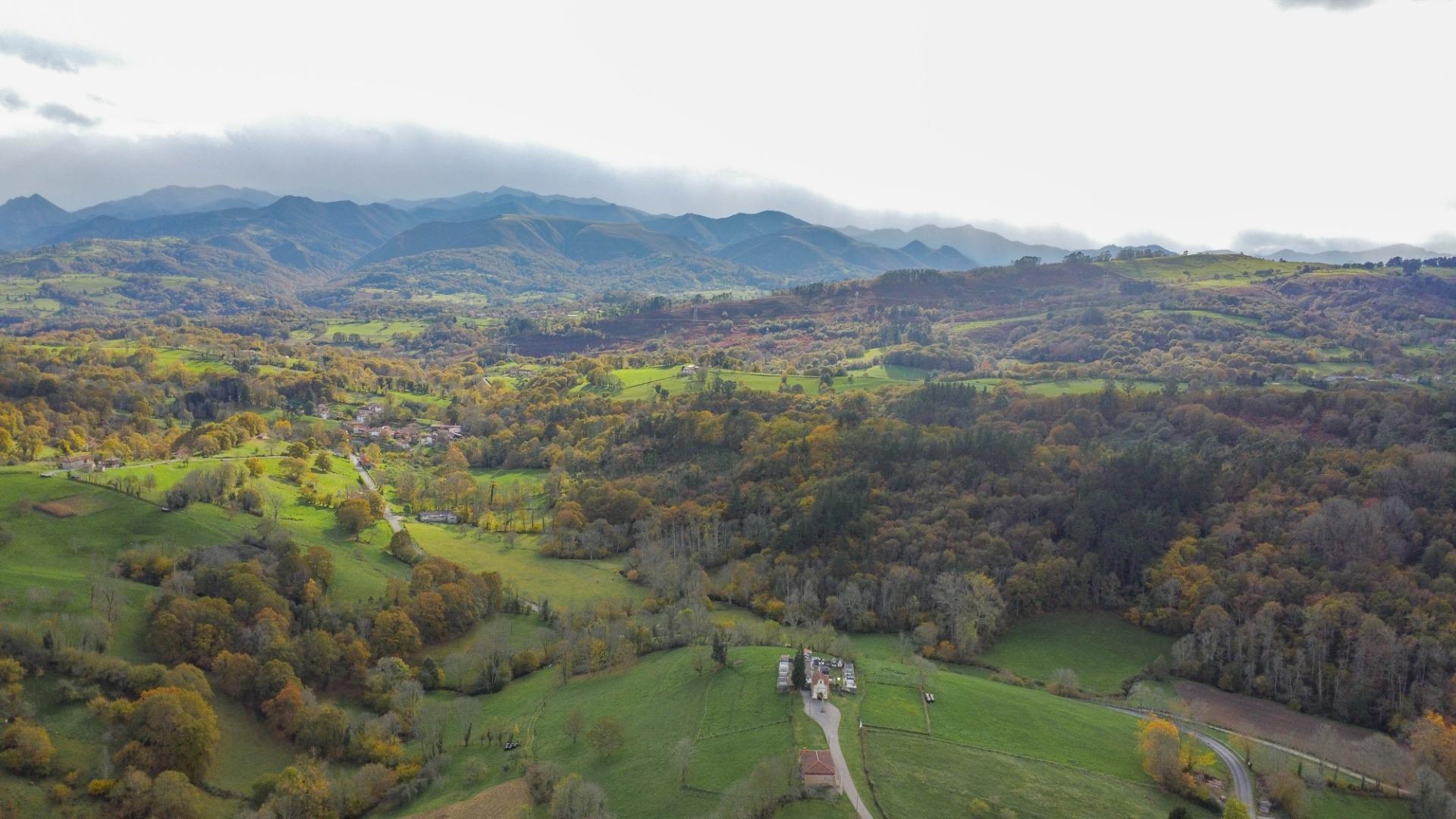 Casas o chalets-Venta-PiloÃ±a-2019548-Foto-43