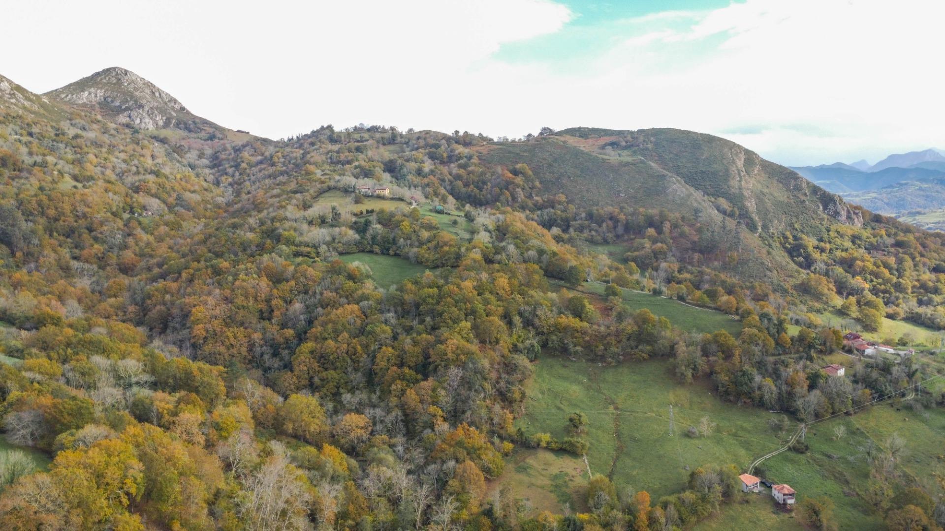 Casas o chalets-Venta-PiloÃ±a-2019548-Foto-44