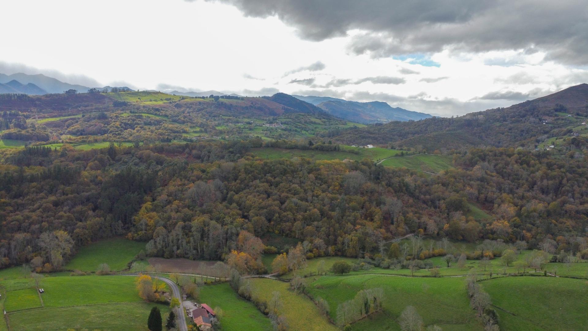 Casas o chalets-Venta-PiloÃ±a-2019548-Foto-42