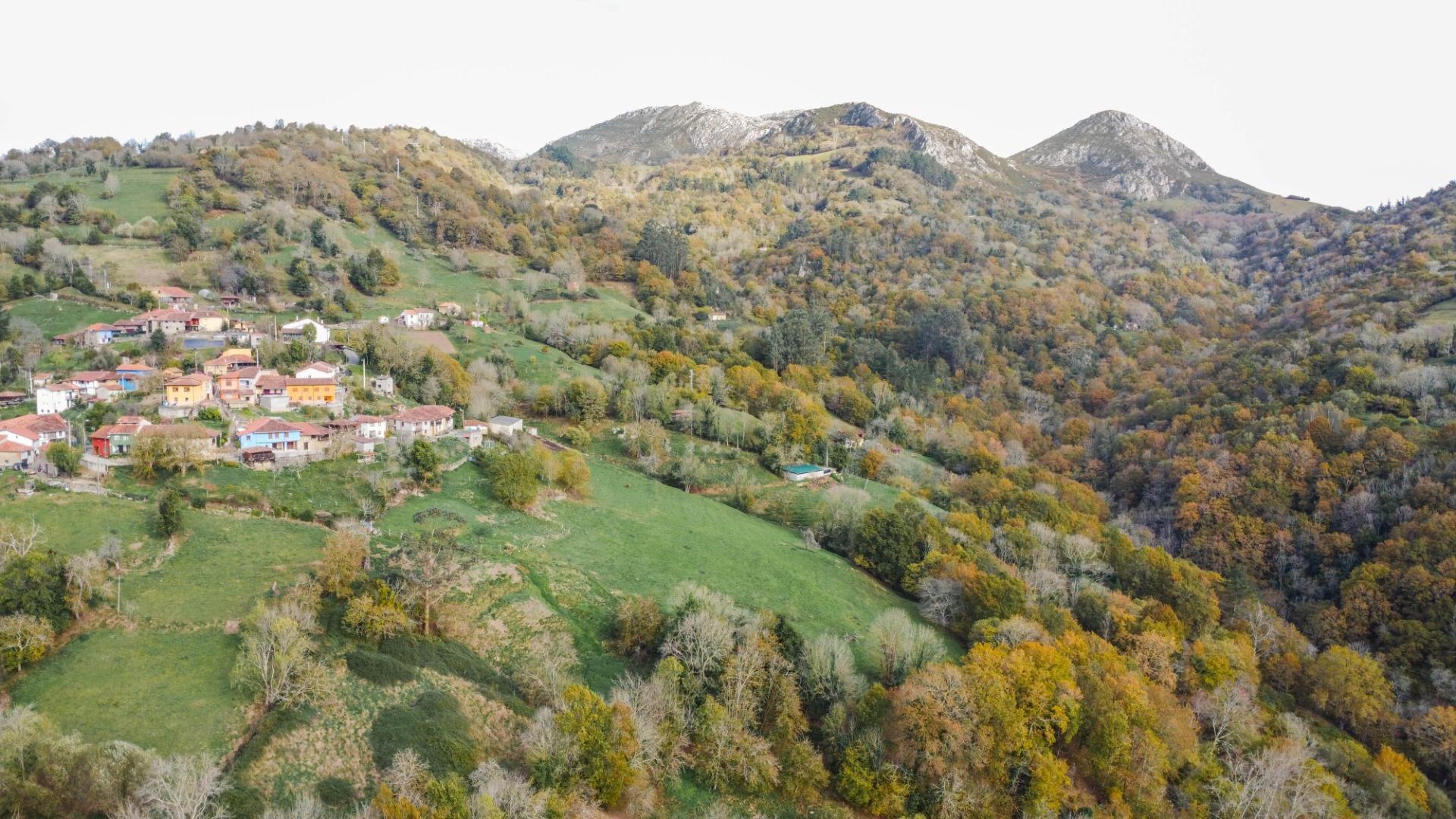 Casas o chalets-Venta-PiloÃ±a-2019548-Foto-46