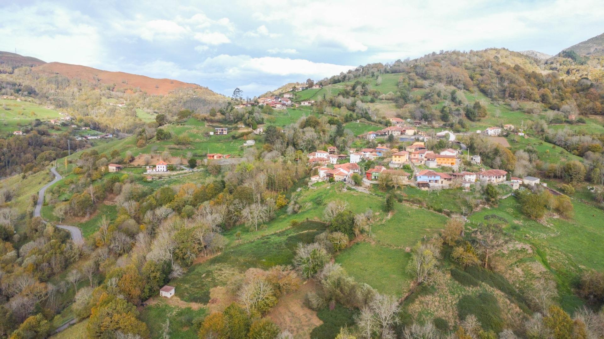 Casas o chalets-Venta-PiloÃ±a-2019548-Foto-55