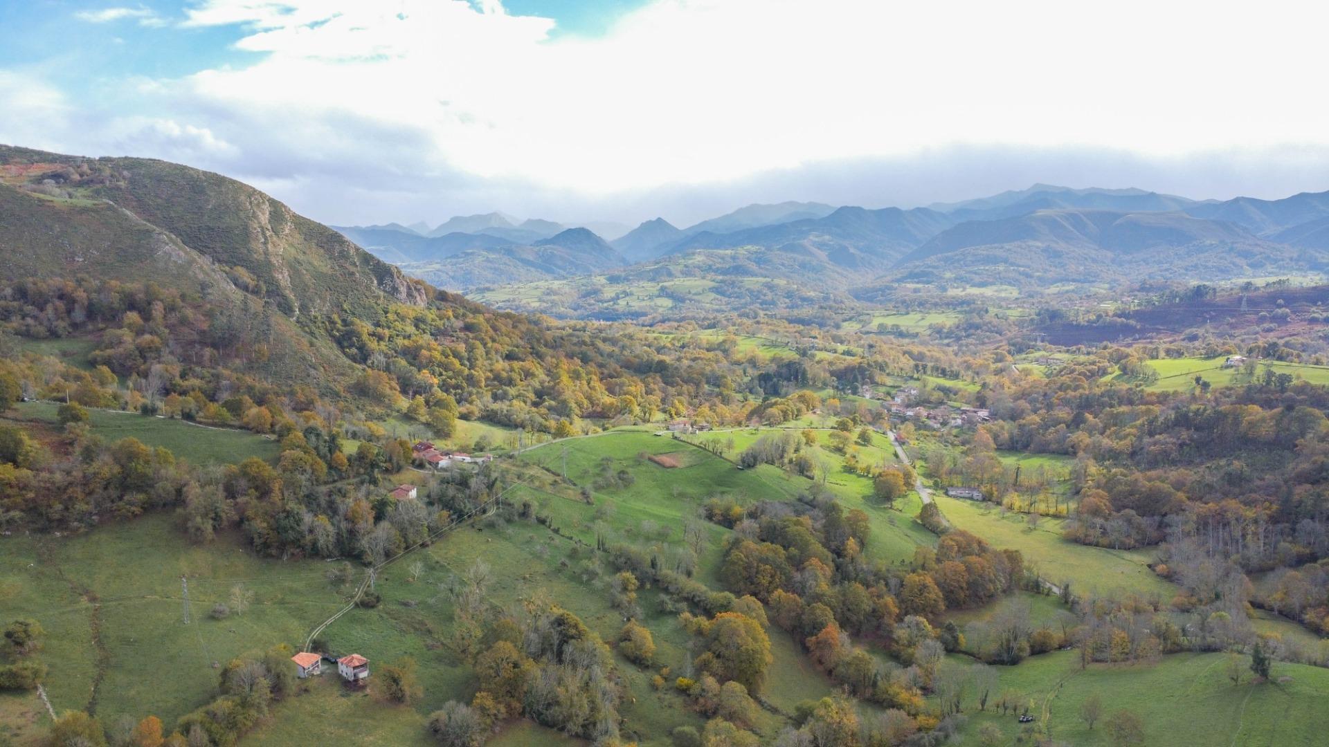 Casas o chalets-Venta-PiloÃ±a-2019548-Foto-54