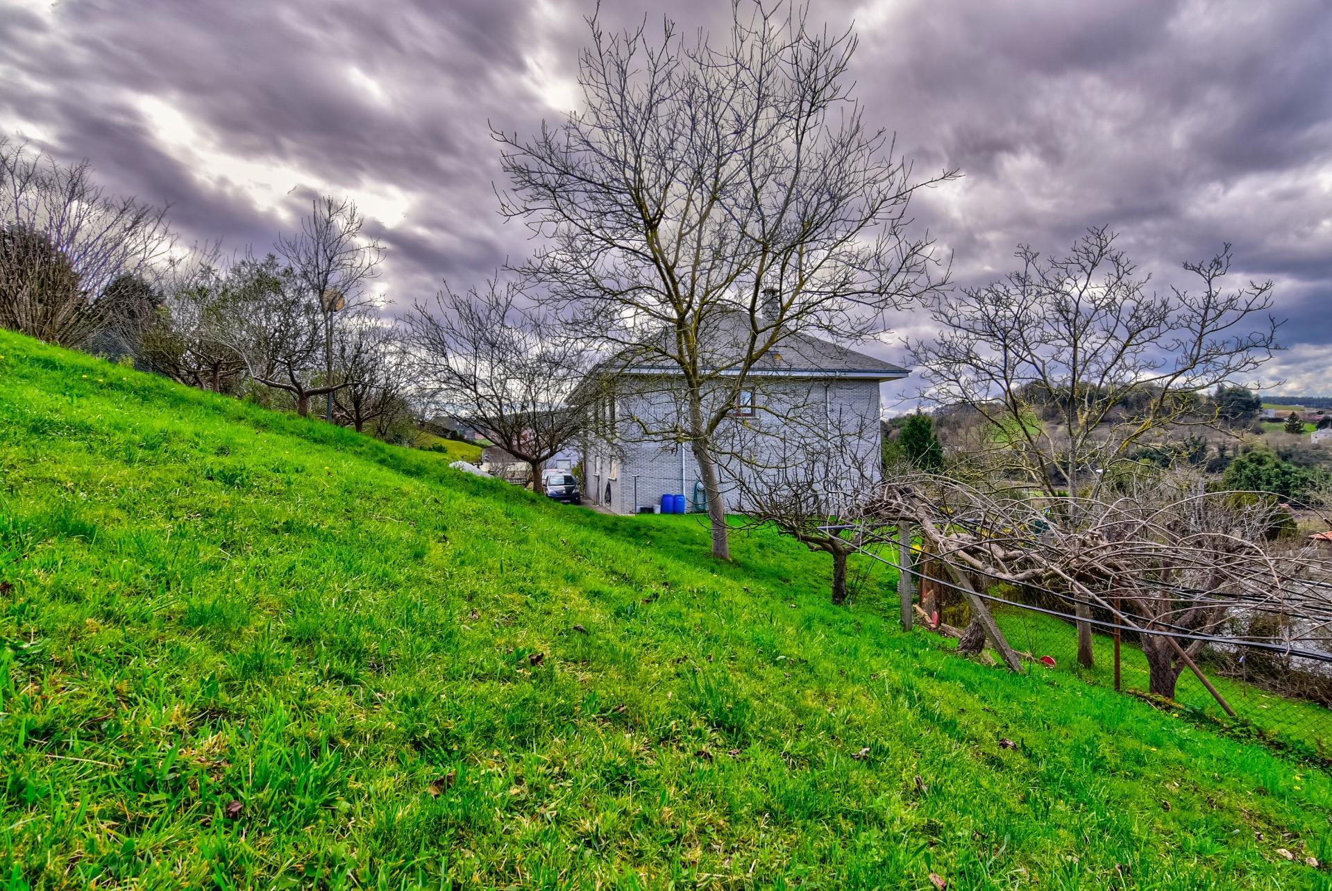 Casas o chalets-Venta-PiÃ©lagos-814828-Foto-35