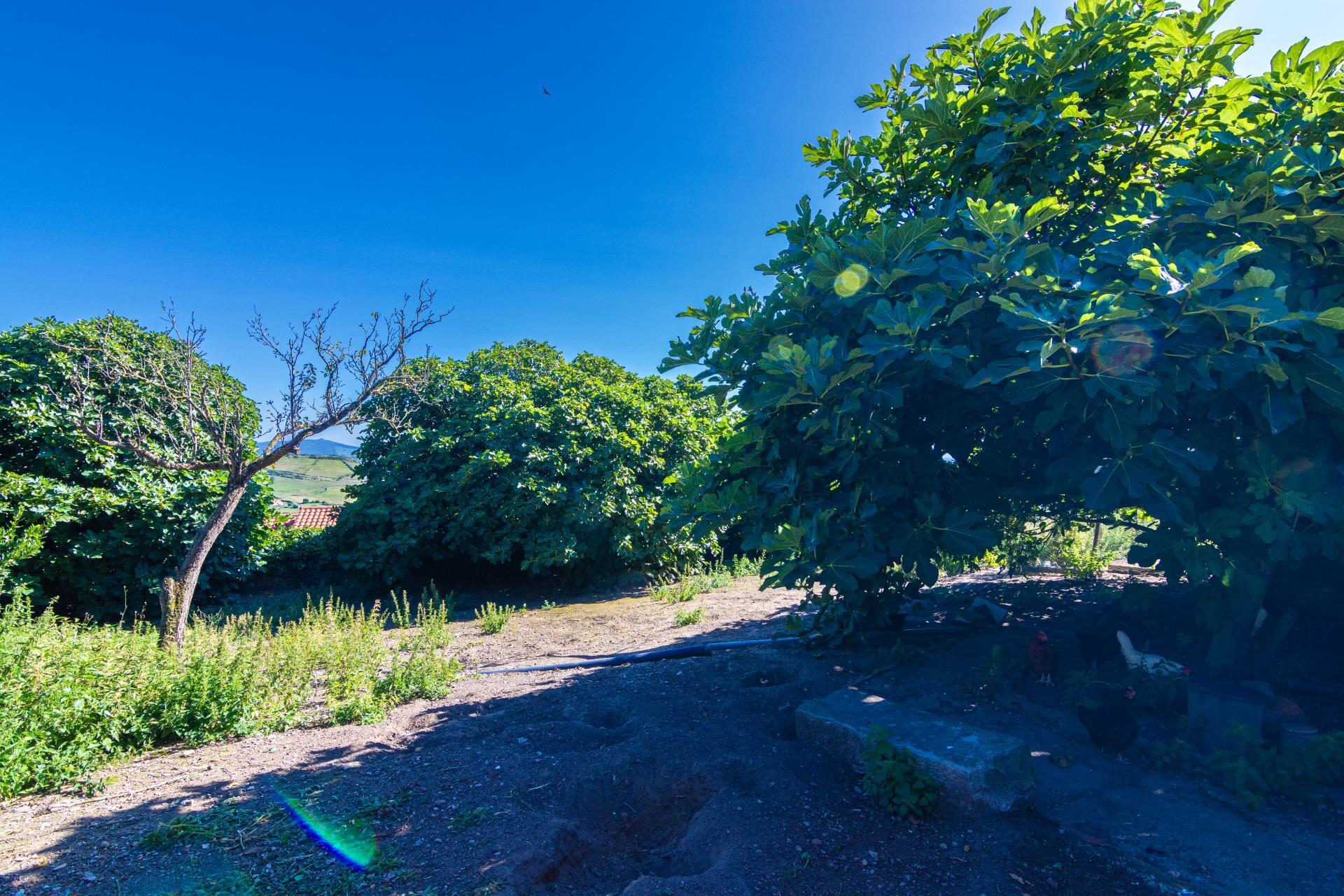 Casas o chalets-Venta-Suances-923520-Foto-26