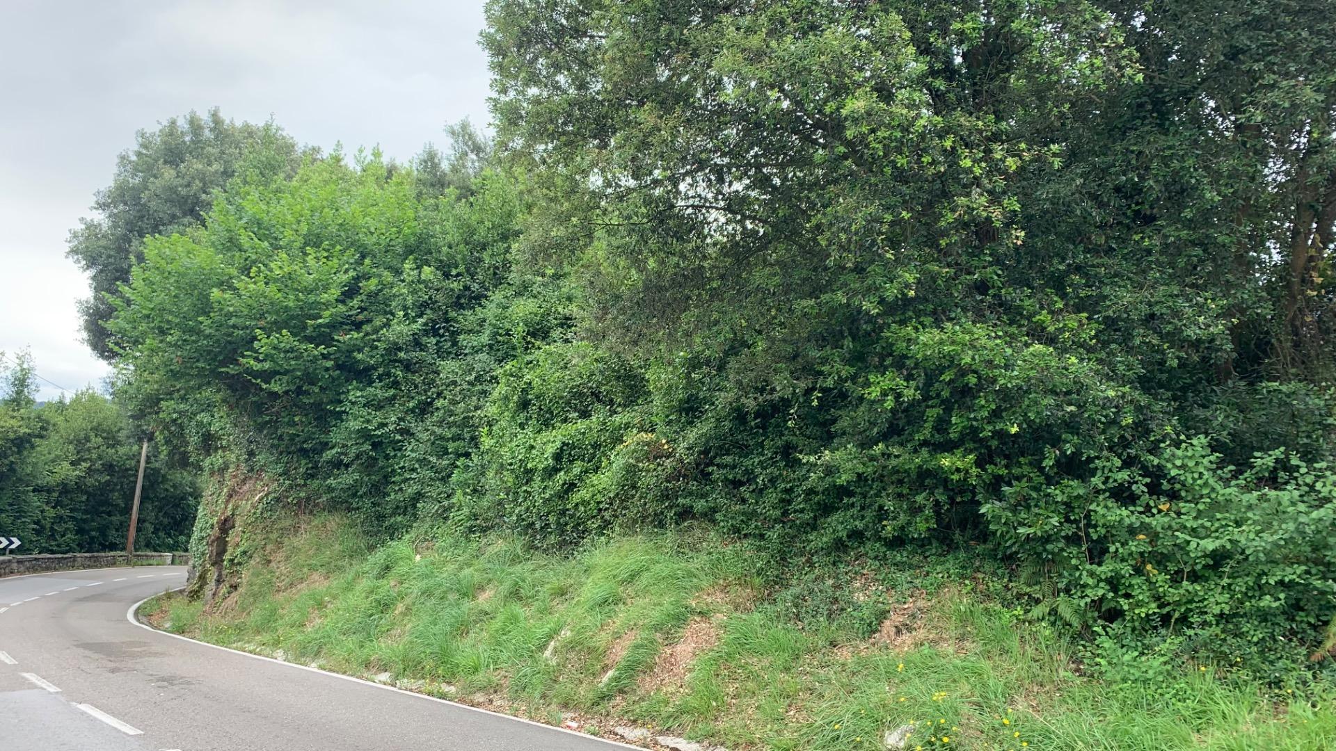 Fincas y solares-Venta-PiÃ©lagos-1827920-Foto-3