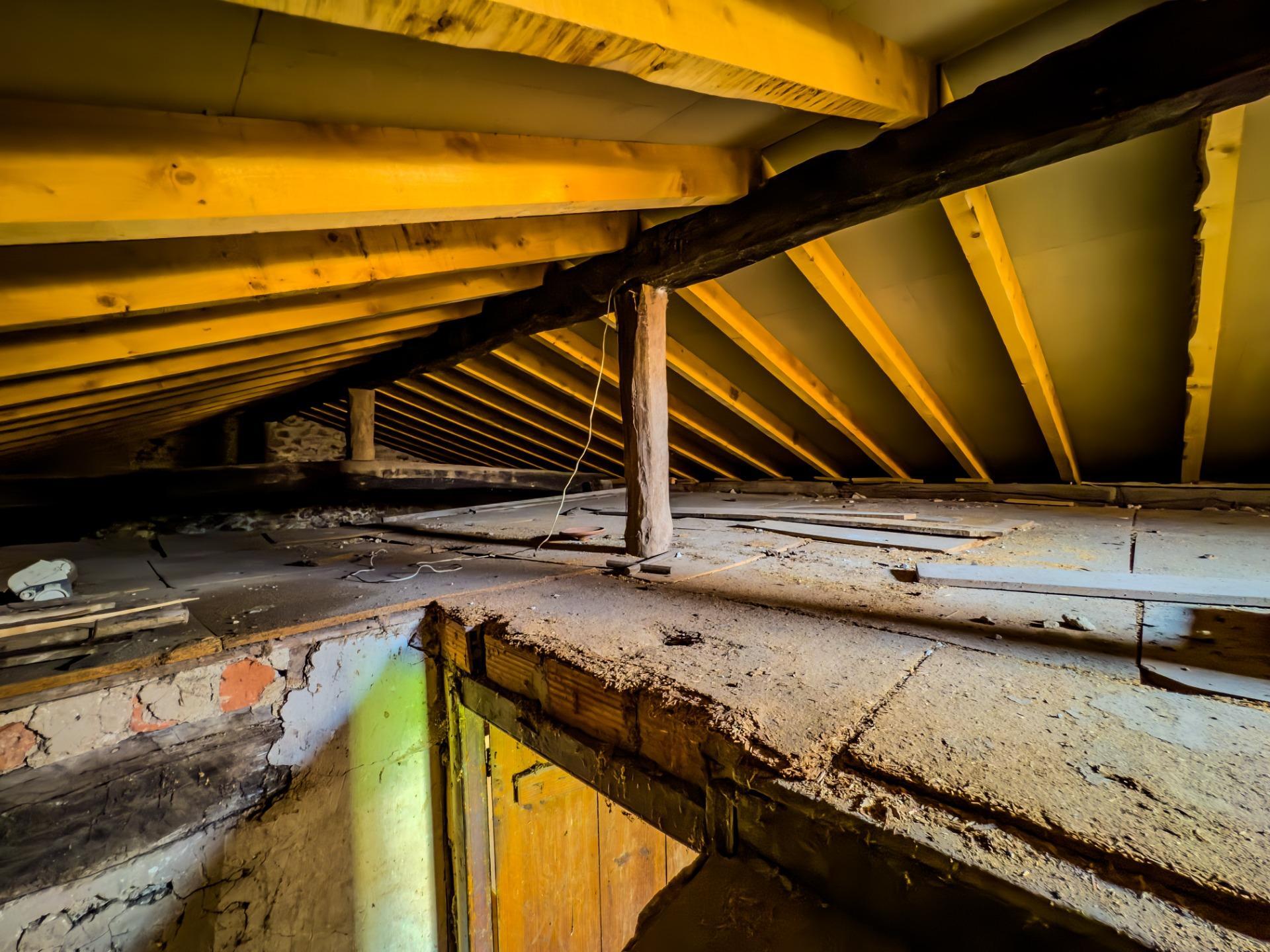 Casas o chalets-Venta-Santa MarÃ­a de CayÃ³n-1886864-Foto-66