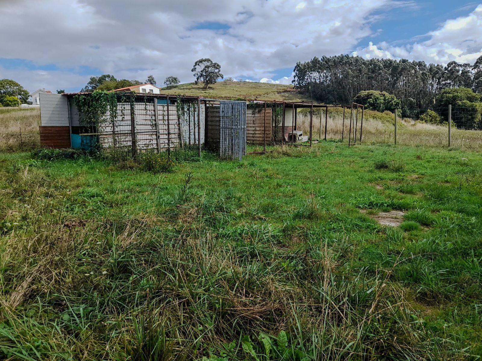 Fincas y solares-Venta-Miengo-1884823-Foto-6