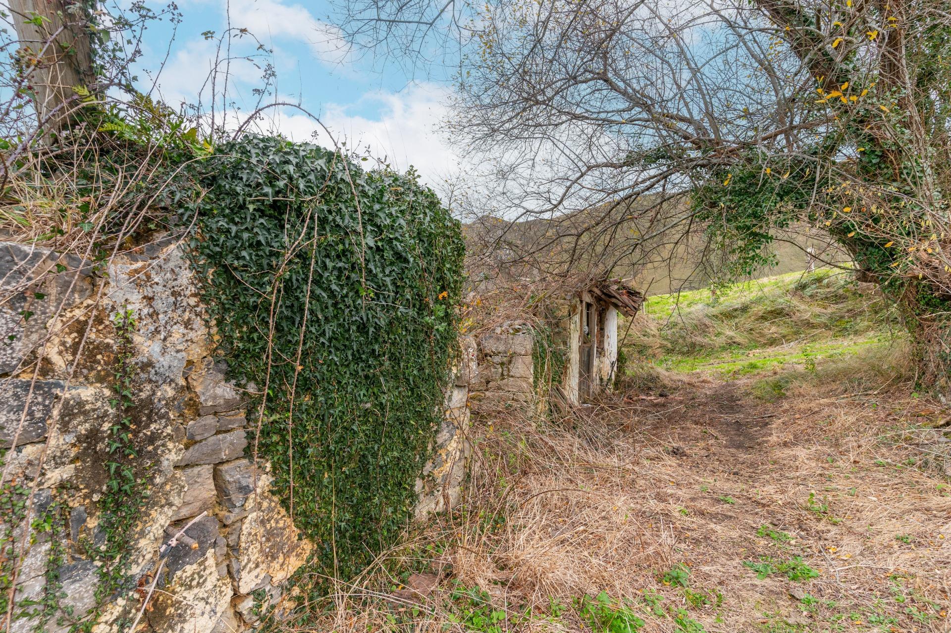 Fincas y solares-Venta-Amieva-2031303-Foto-15