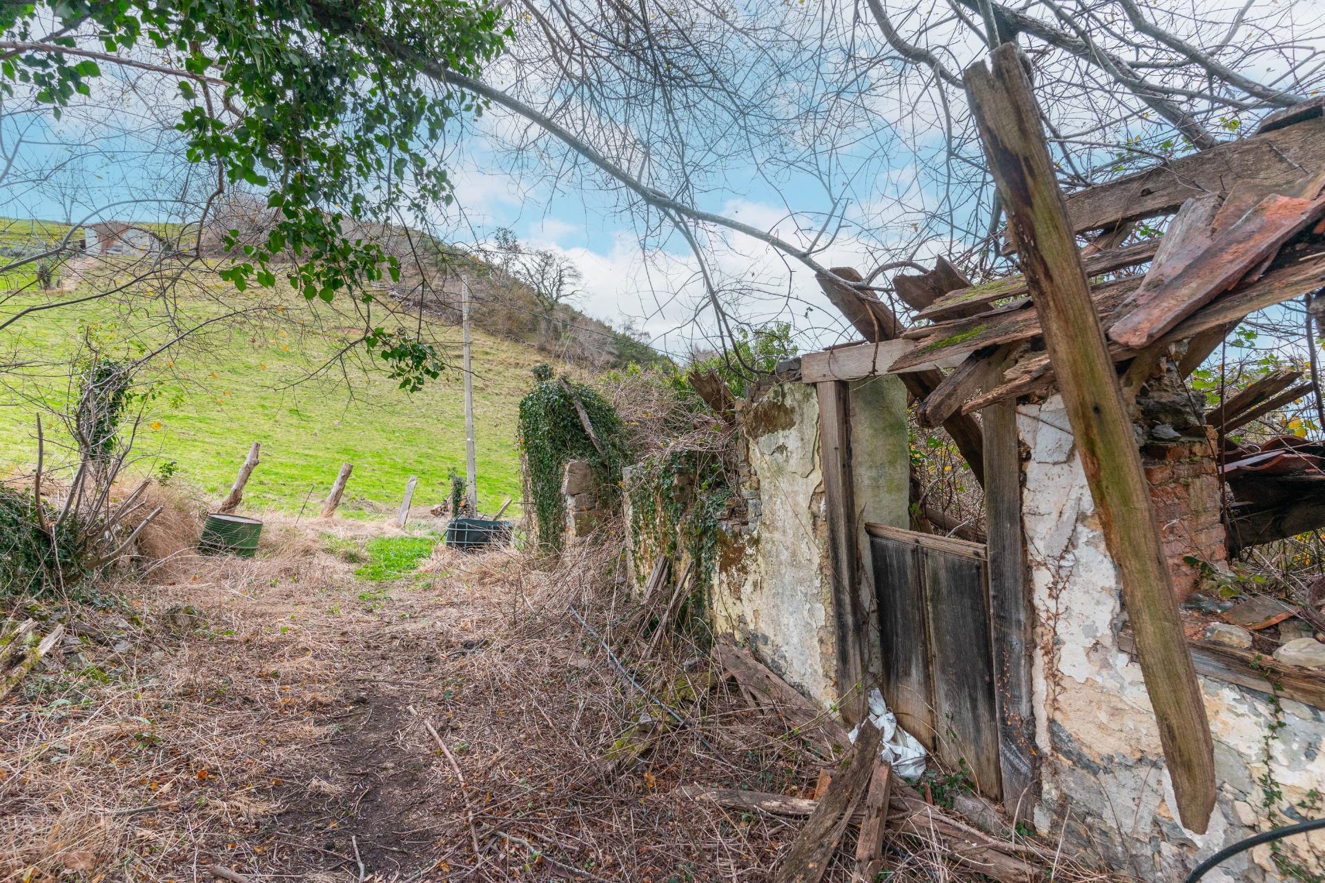 Fincas y solares-Venta-Amieva-2031303-Foto-13