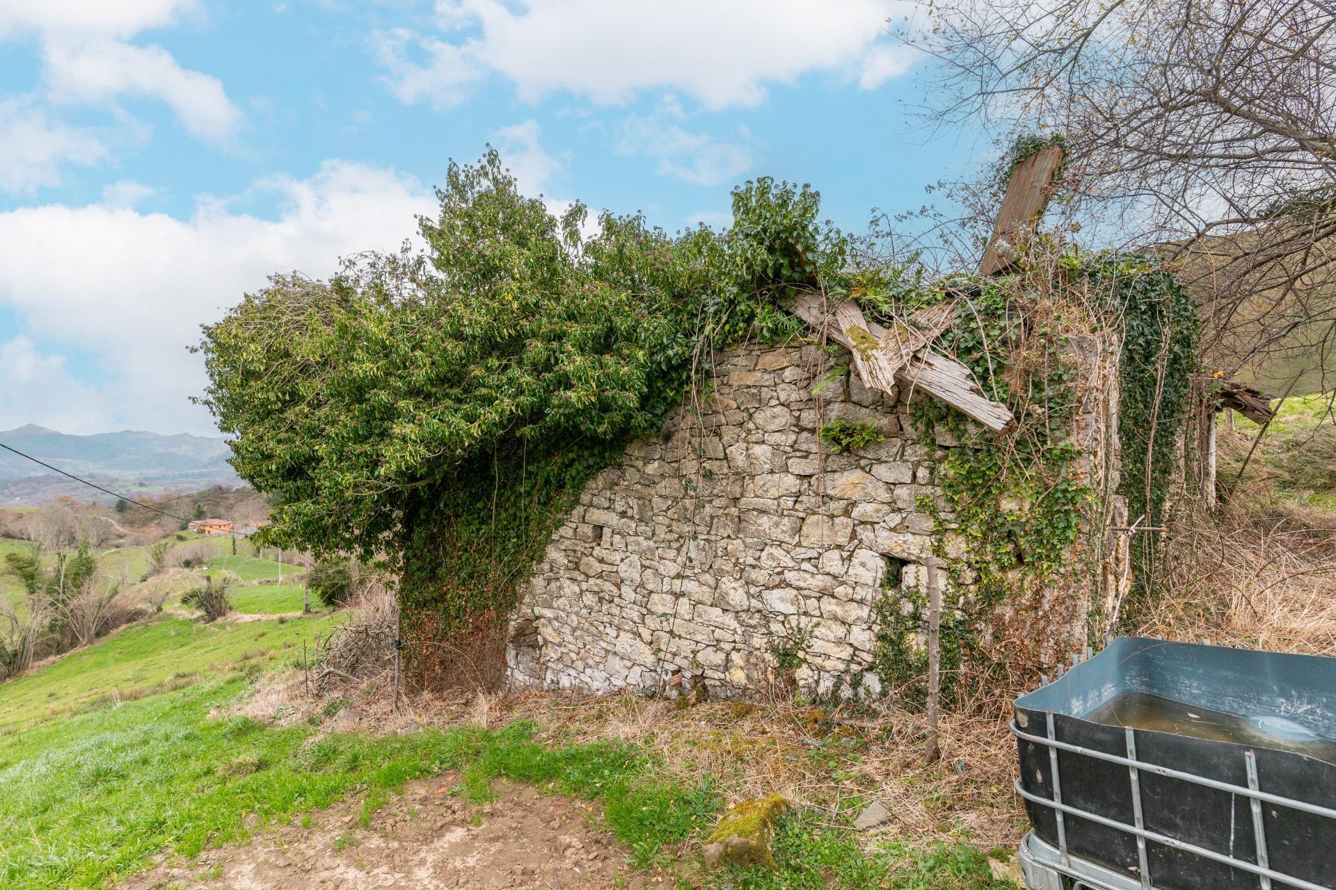 Fincas y solares-Venta-Amieva-2031303-Foto-17