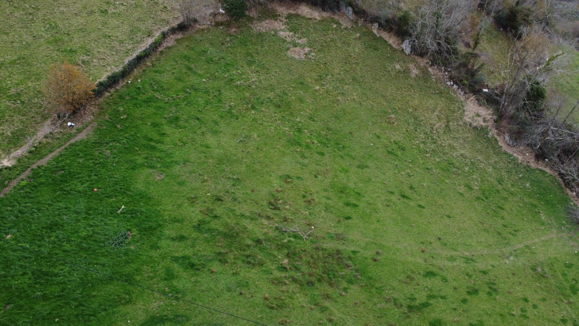 Fincas y solares-Venta-Amieva-2031303-Foto-24