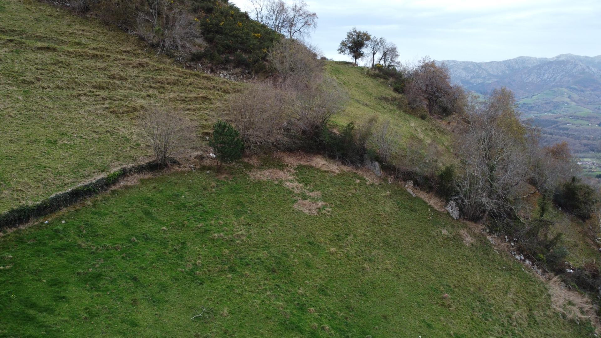 Fincas y solares-Venta-Amieva-2031303-Foto-29