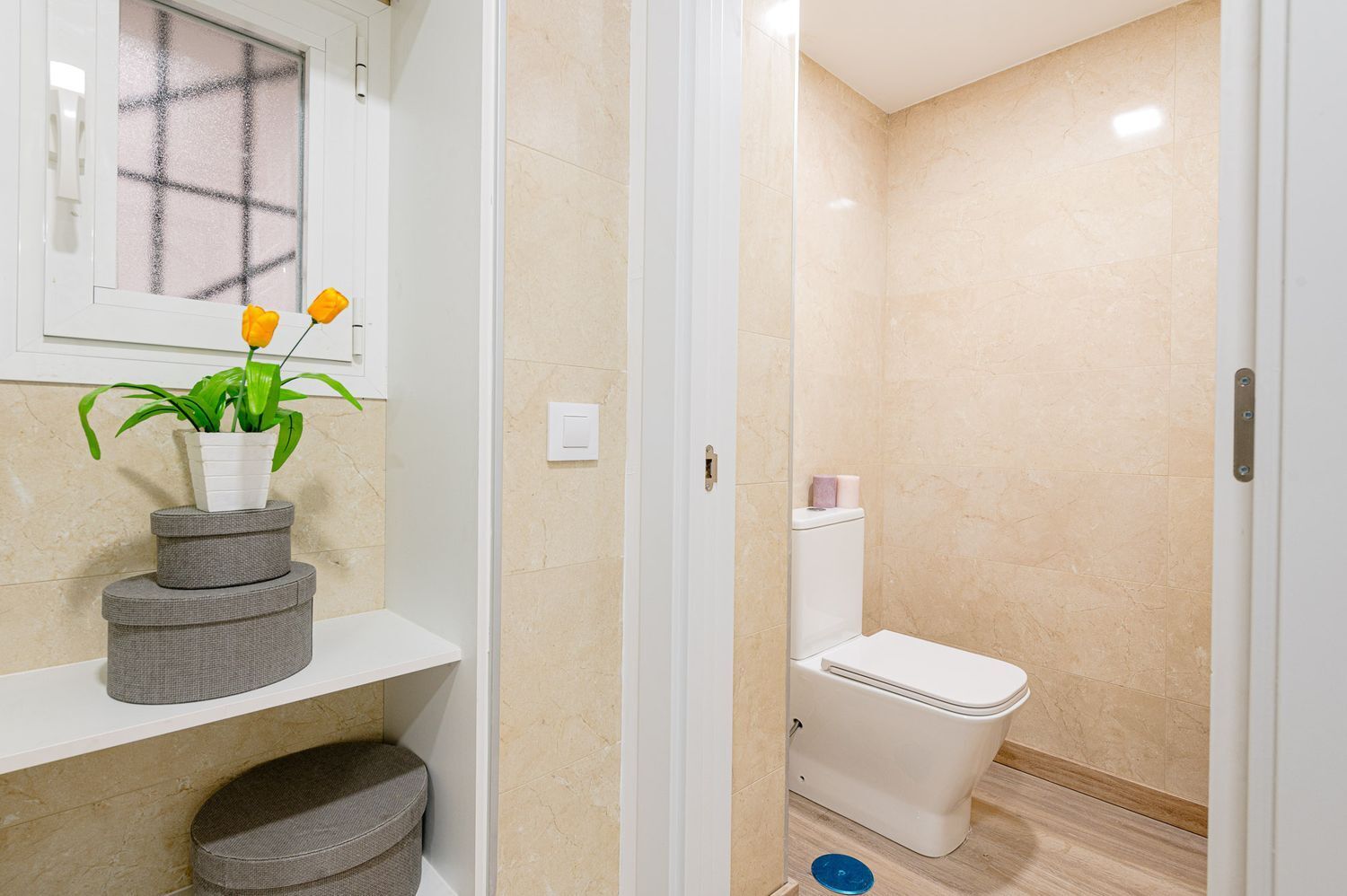 Pisos-Alquiler-Madrid-1639161-Foto-21