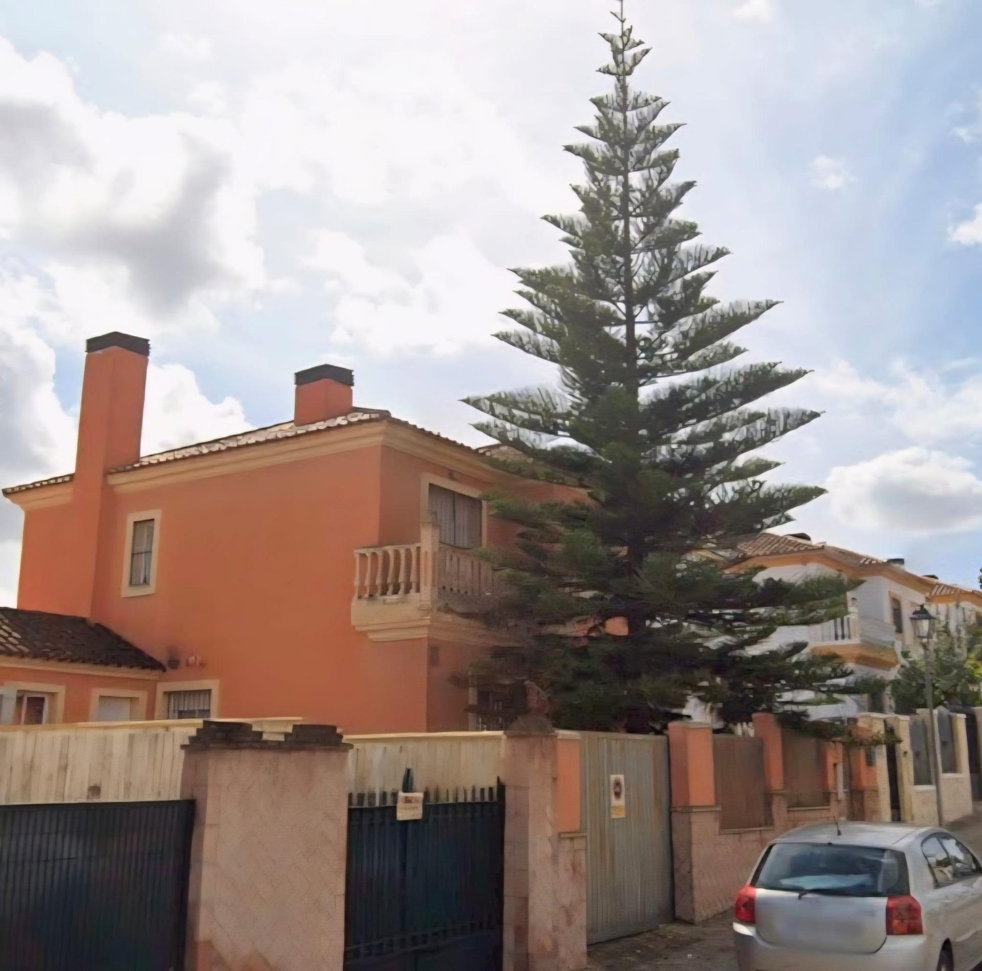 Casas o chalets-Venta-Espartinas-2016826-Foto-2