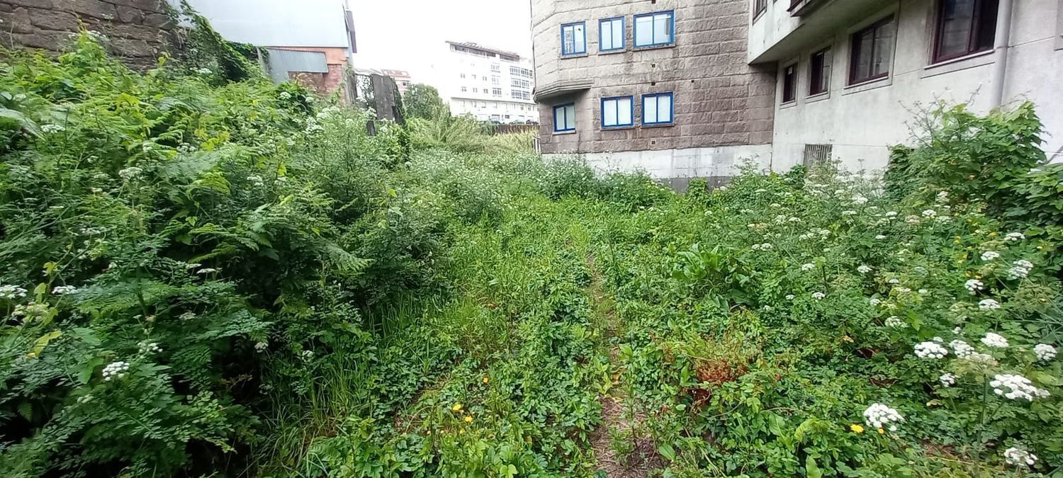 Fincas y solares-Venta-Redondela-1396230-Foto-12