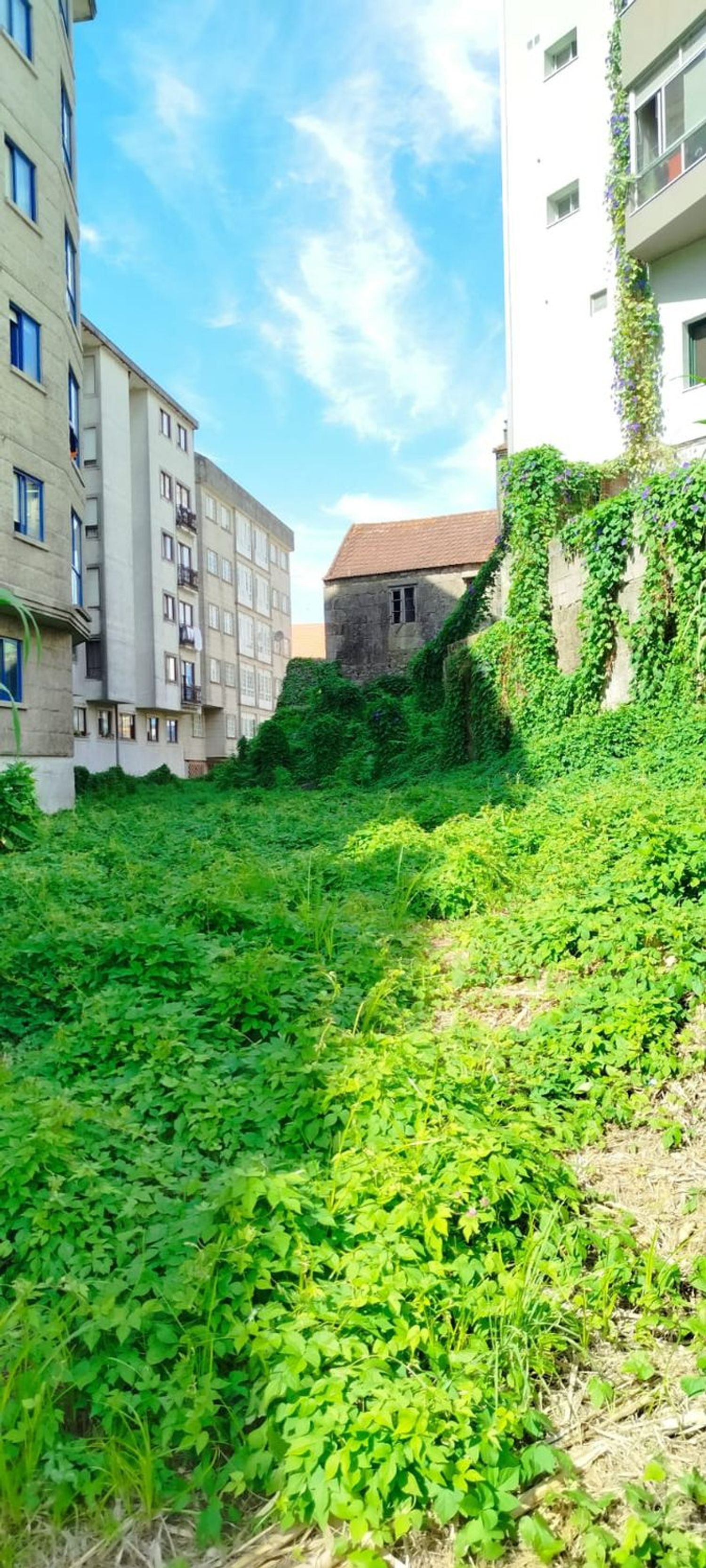 Fincas y solares-Venta-Redondela-1396230-Foto-7