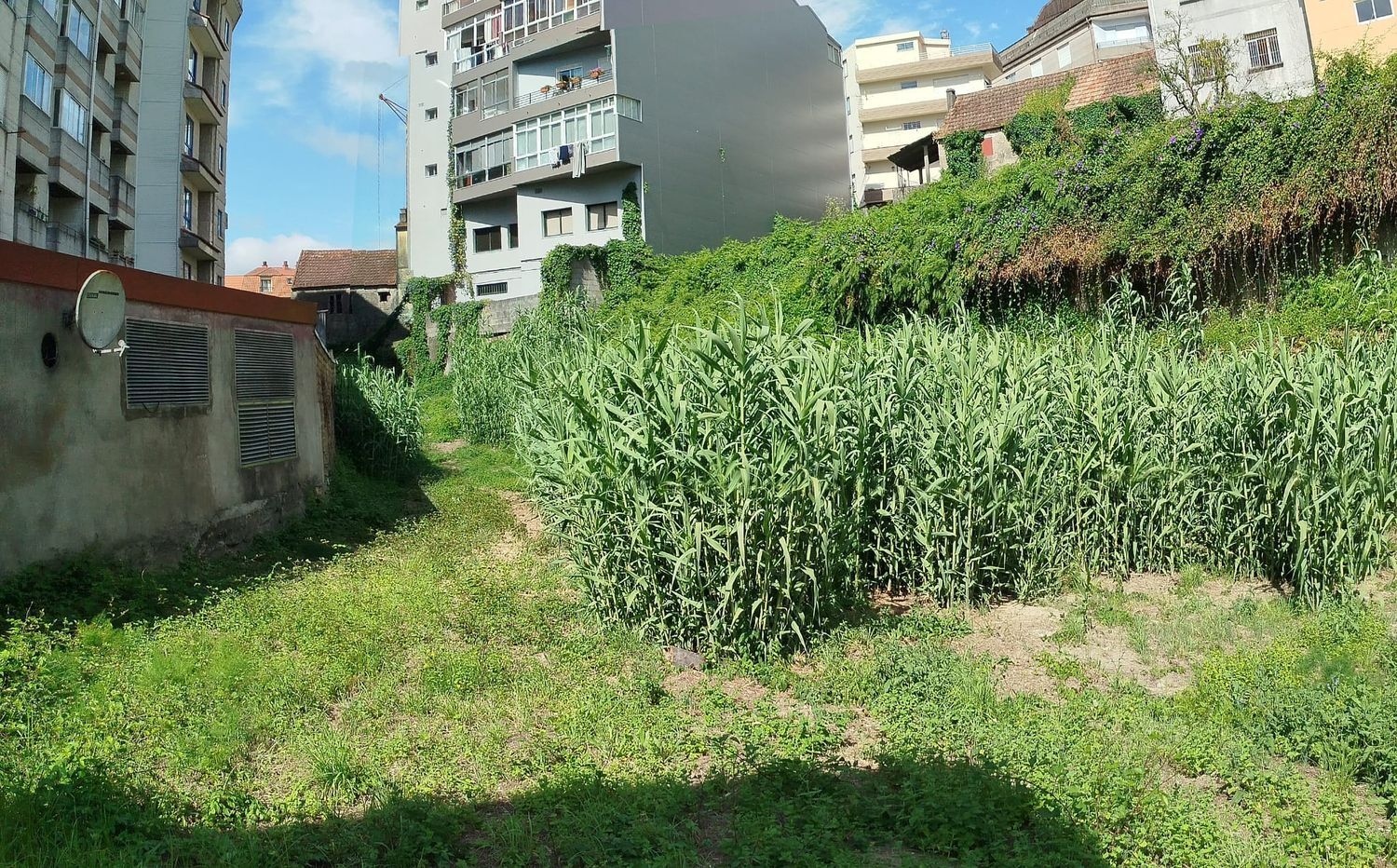 Fincas y solares-Venta-Redondela-1396230-Foto-21