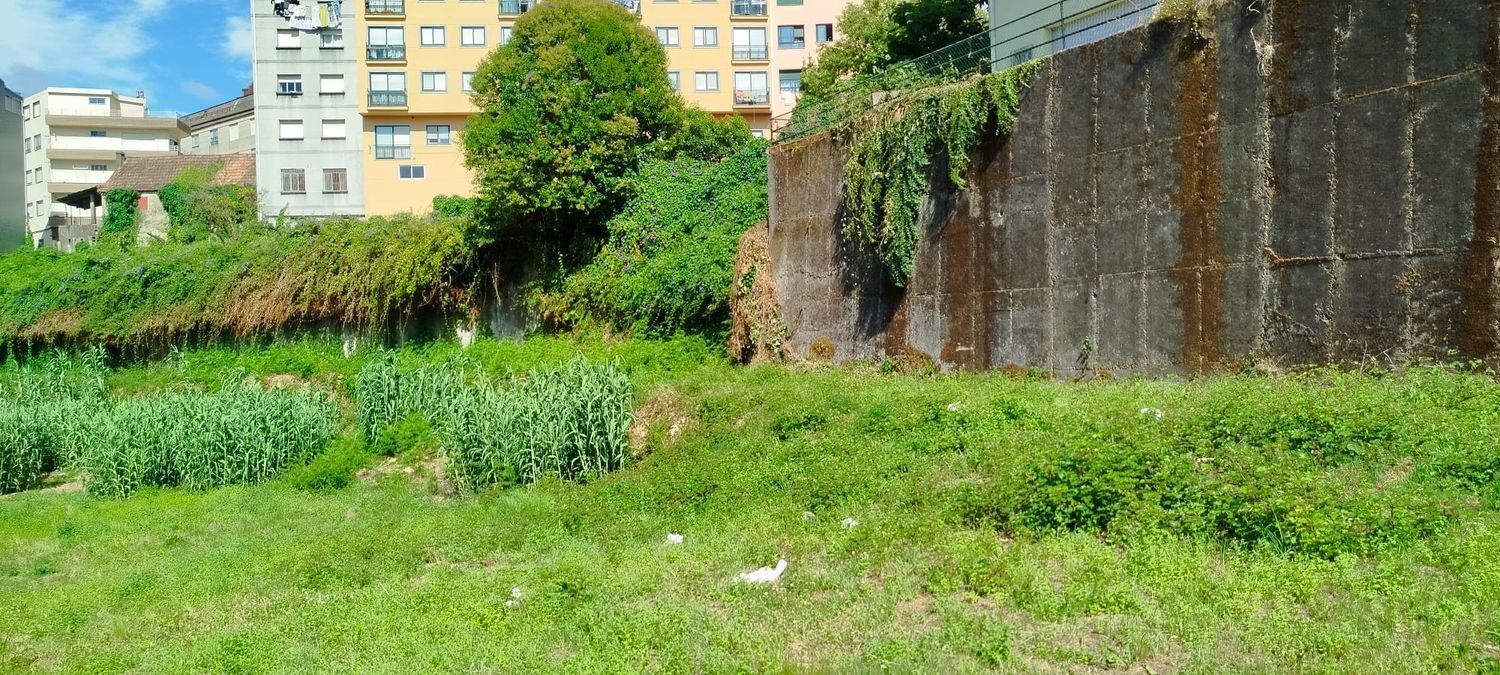 Fincas y solares-Venta-Redondela-1396230-Foto-23