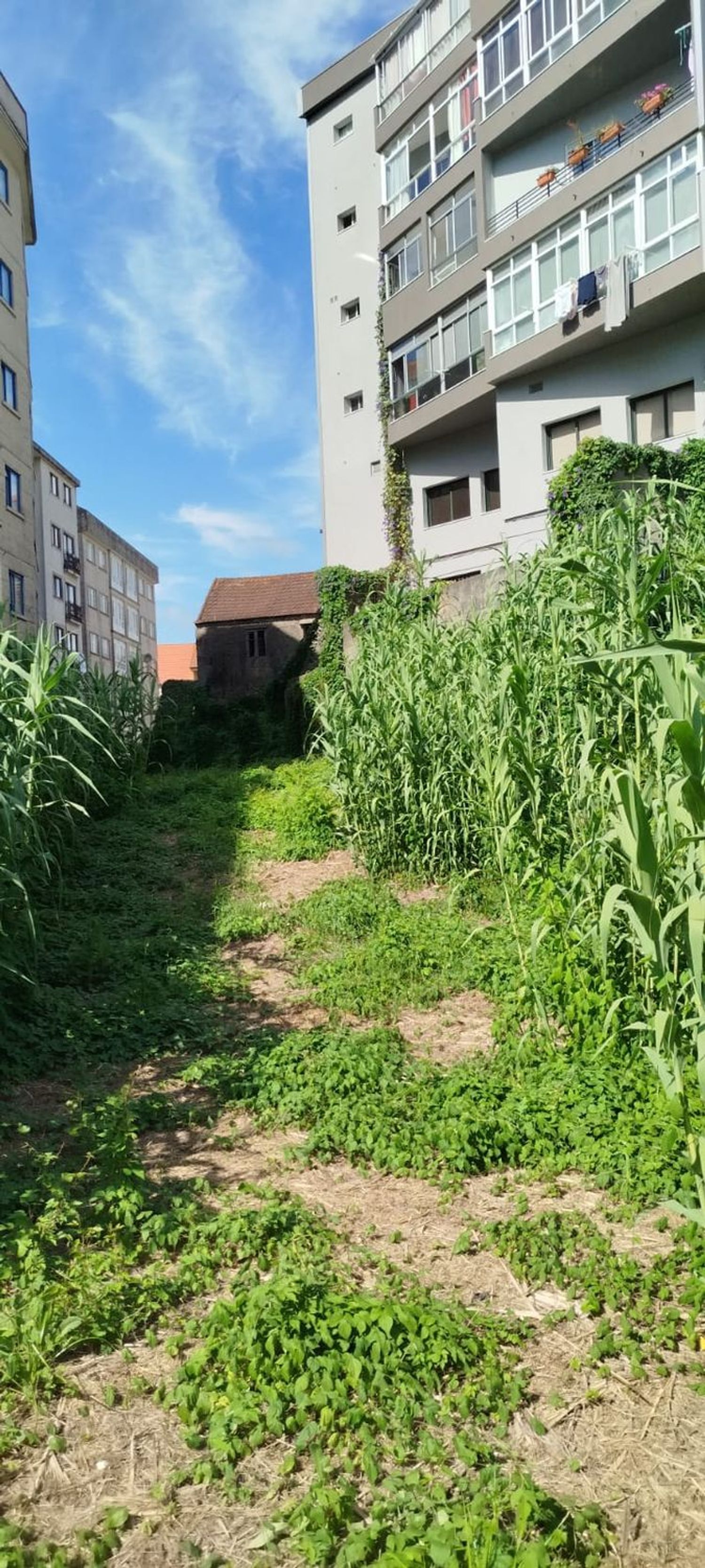 Fincas y solares-Venta-Redondela-1396230-Foto-18