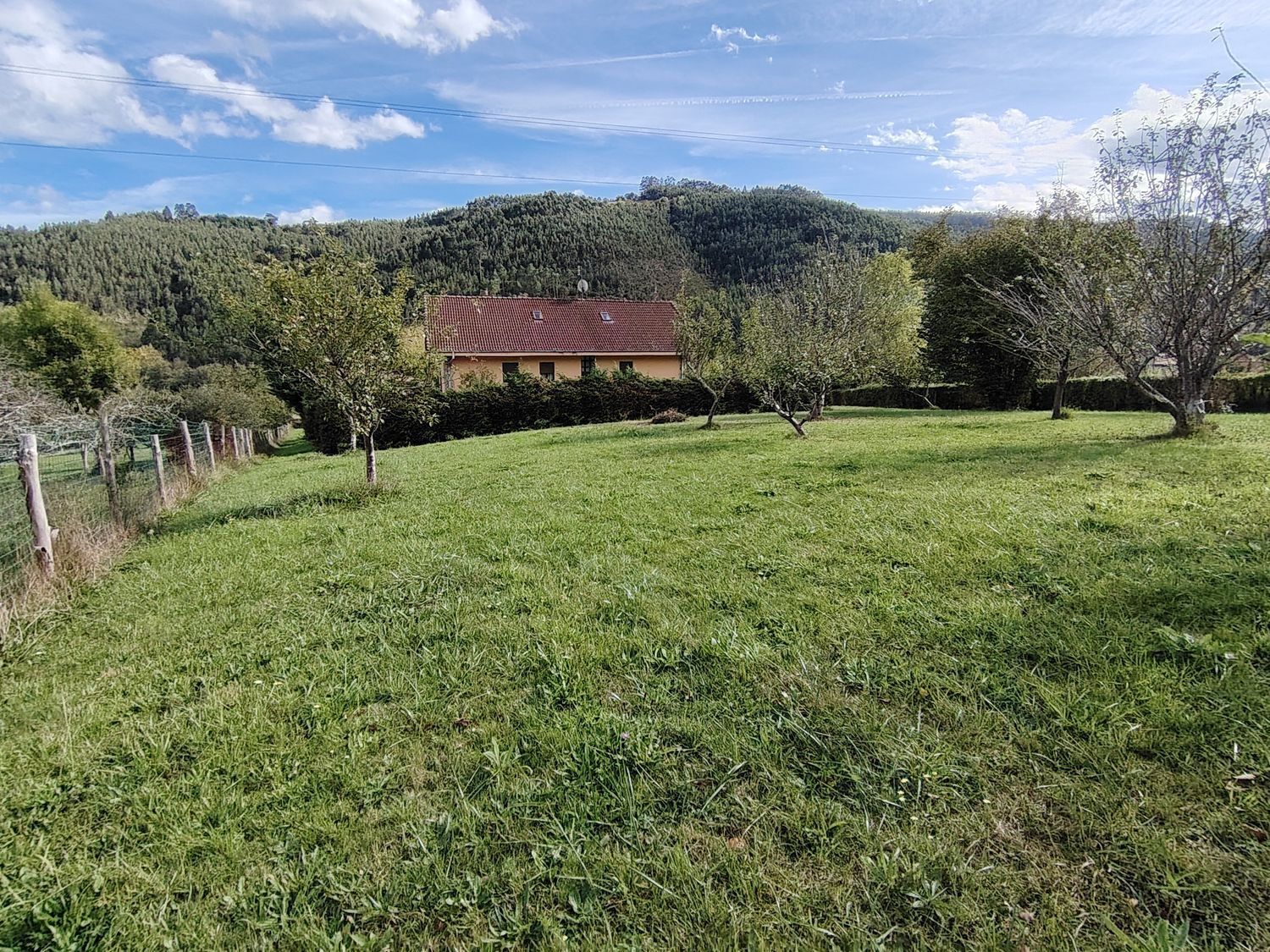 Casas o chalets-Venta-Villaviciosa-1943491-Foto-12