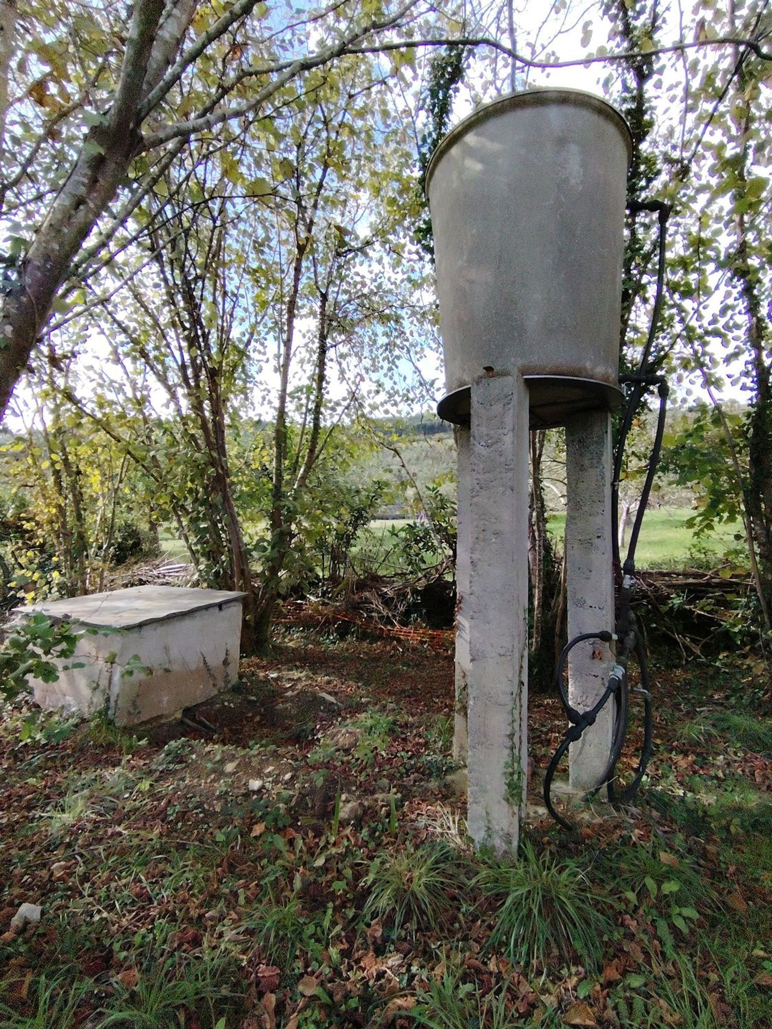 Casas o chalets-Venta-Villaviciosa-1943491-Foto-15