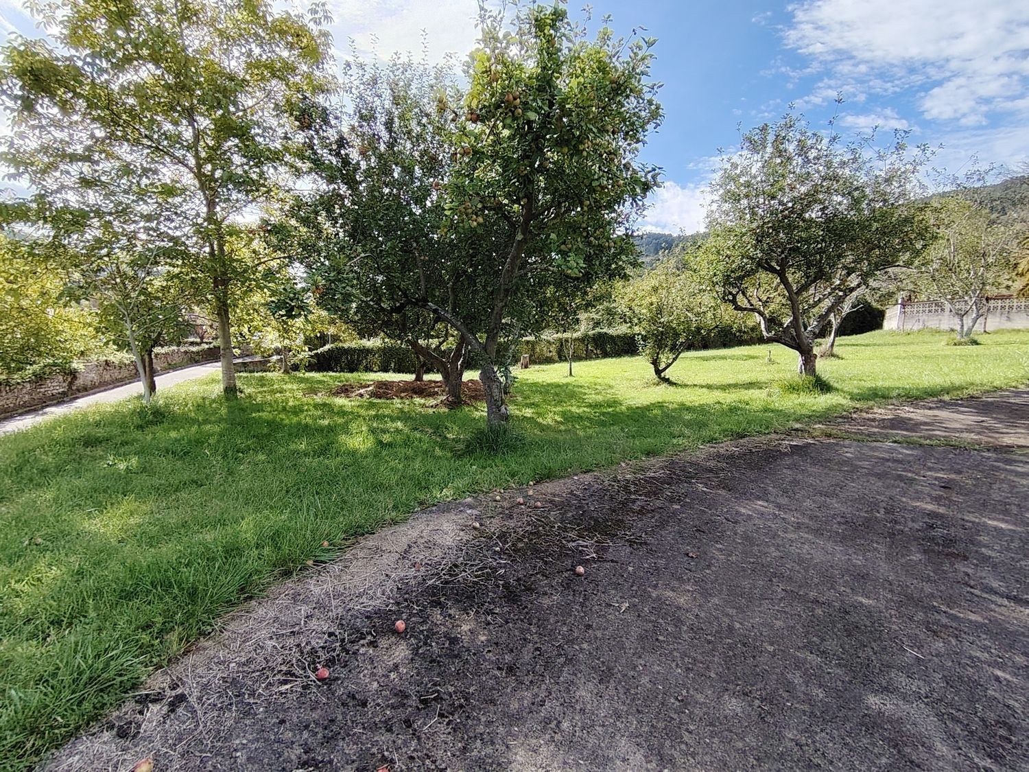 Casas o chalets-Venta-Villaviciosa-1943491-Foto-24