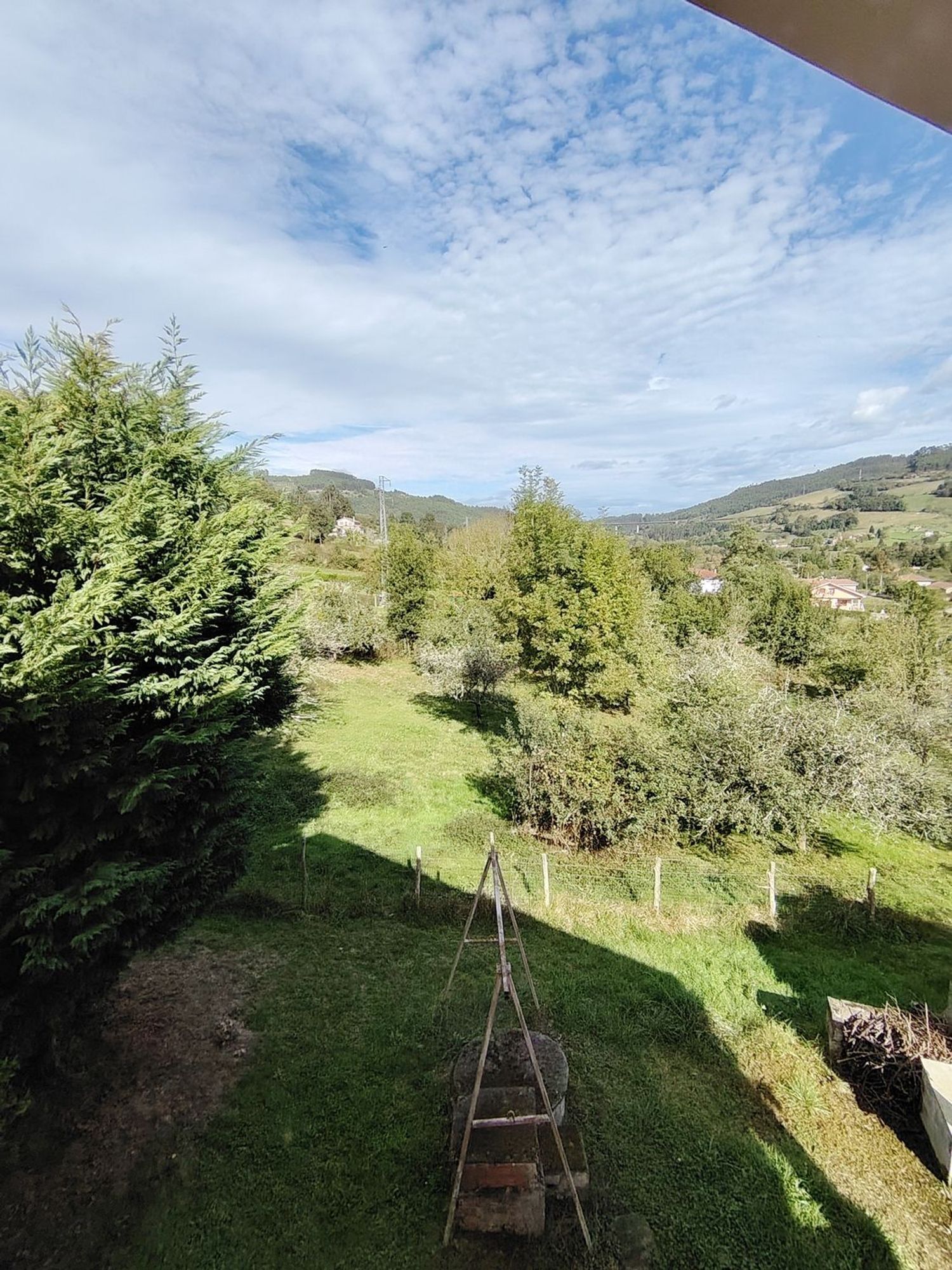 Casas o chalets-Venta-Villaviciosa-1943491-Foto-87