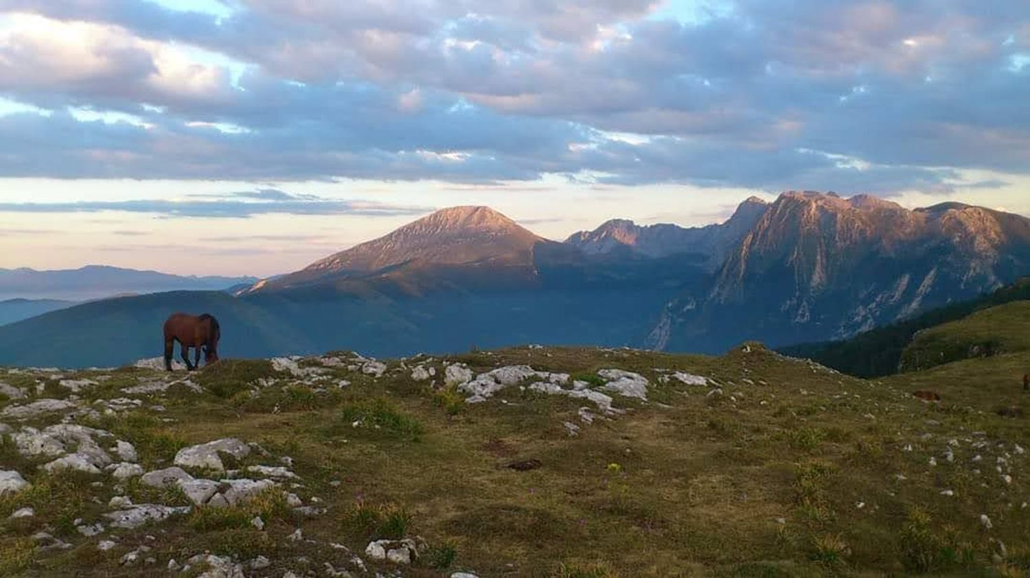 Casas o chalets-Venta-QuirÃ³s-2031348-Foto-36