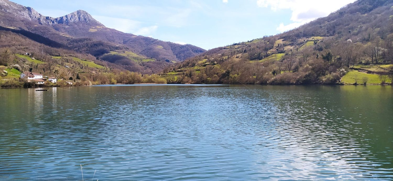 Casas o chalets-Venta-QuirÃ³s-2031348-Foto-39