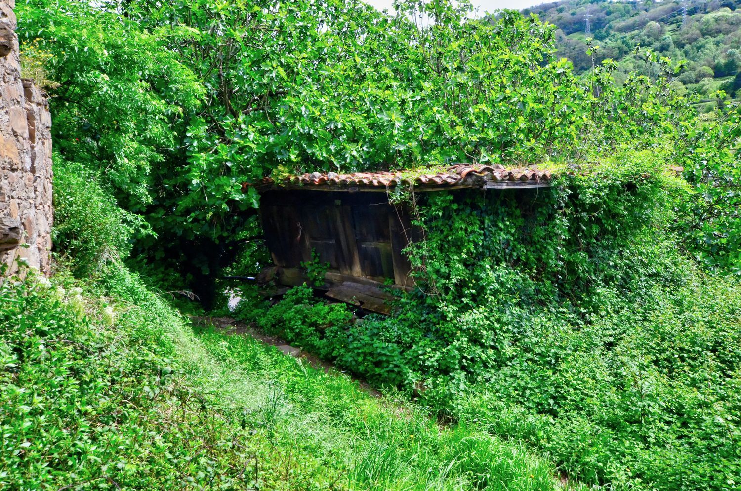 Casas o chalets-Venta-Mieres-1723333