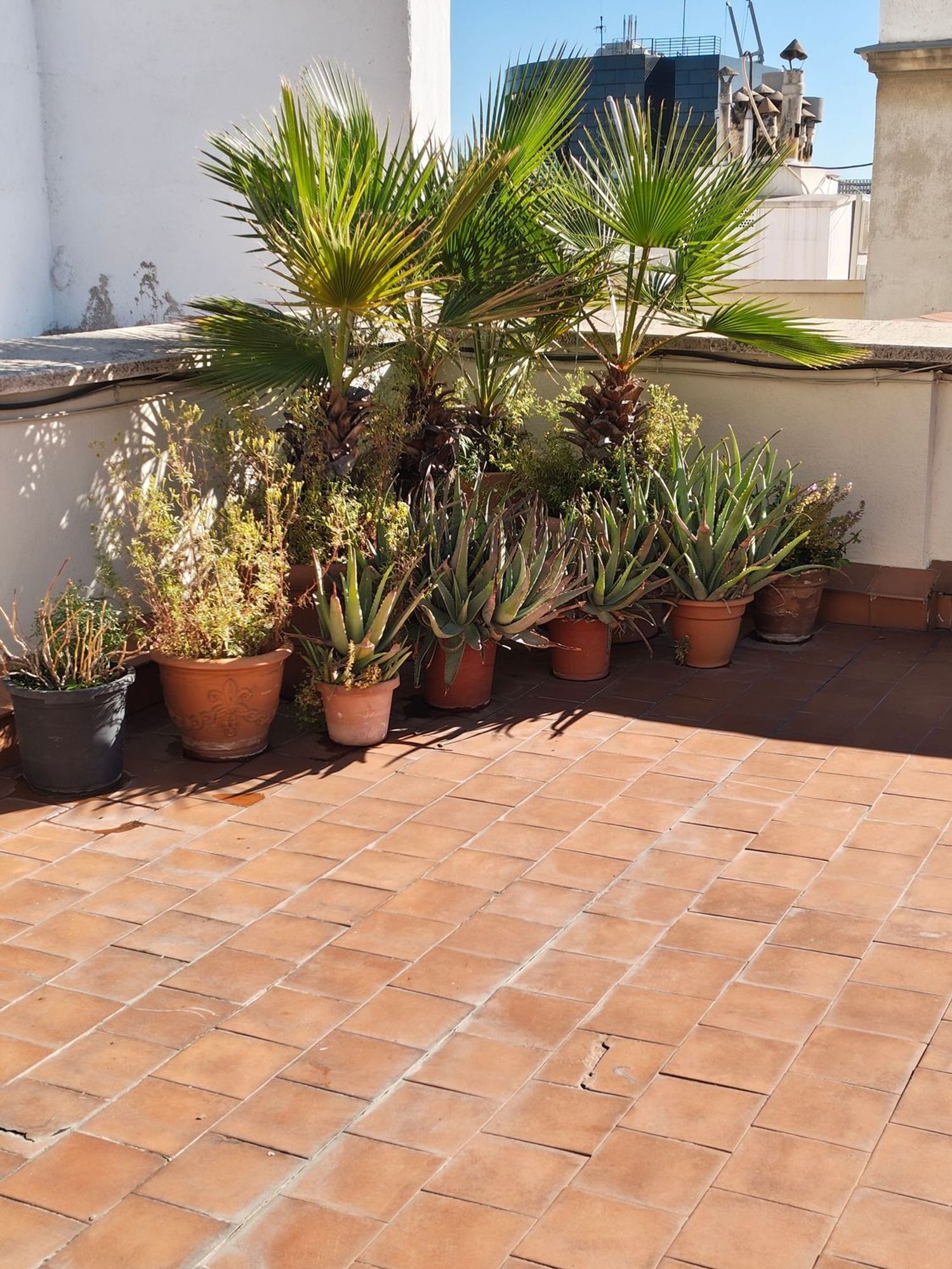 Pisos-Venta-Madrid-1992832-Foto-24