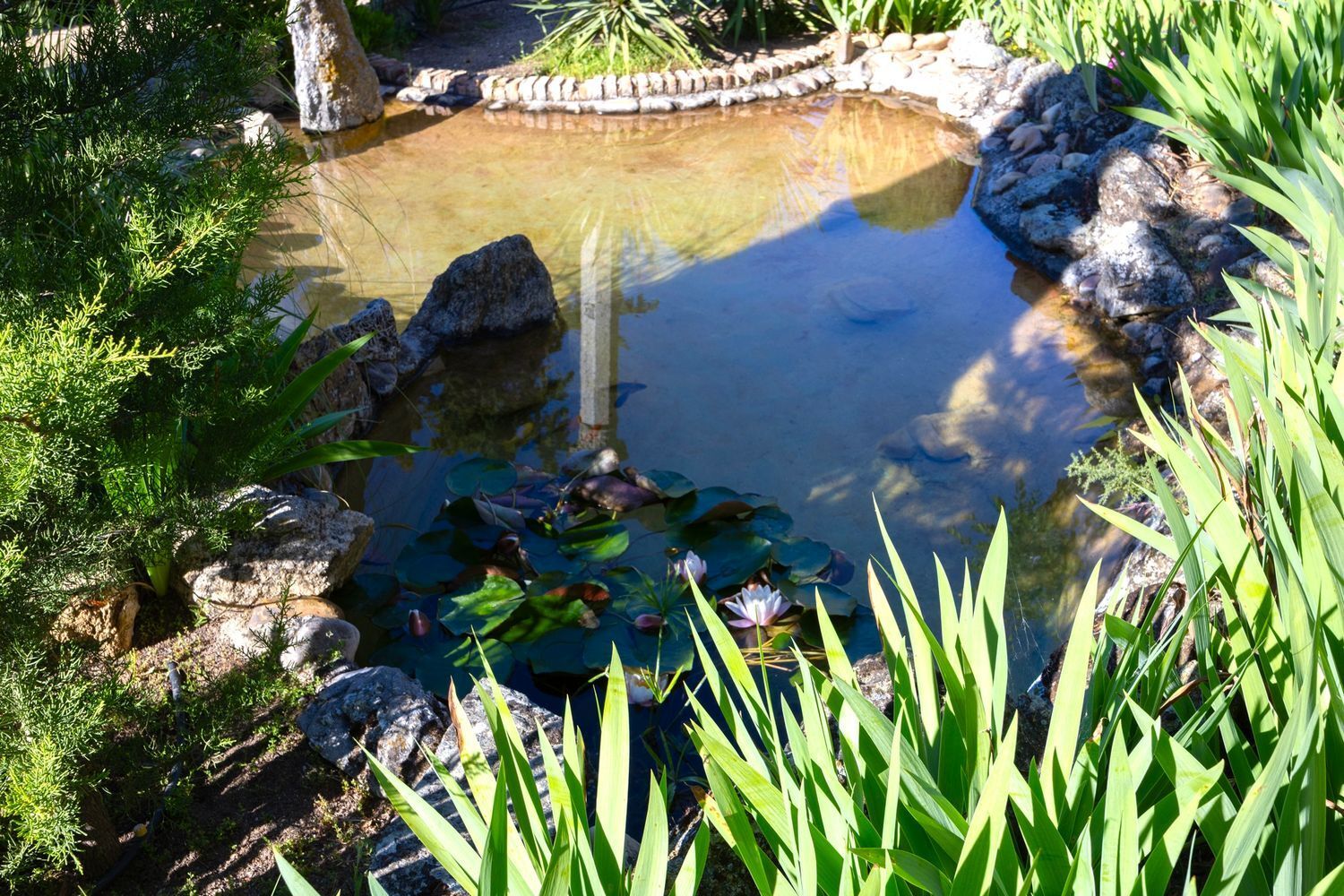 Casas o chalets-Venta-Toledo-1745647-Foto-38