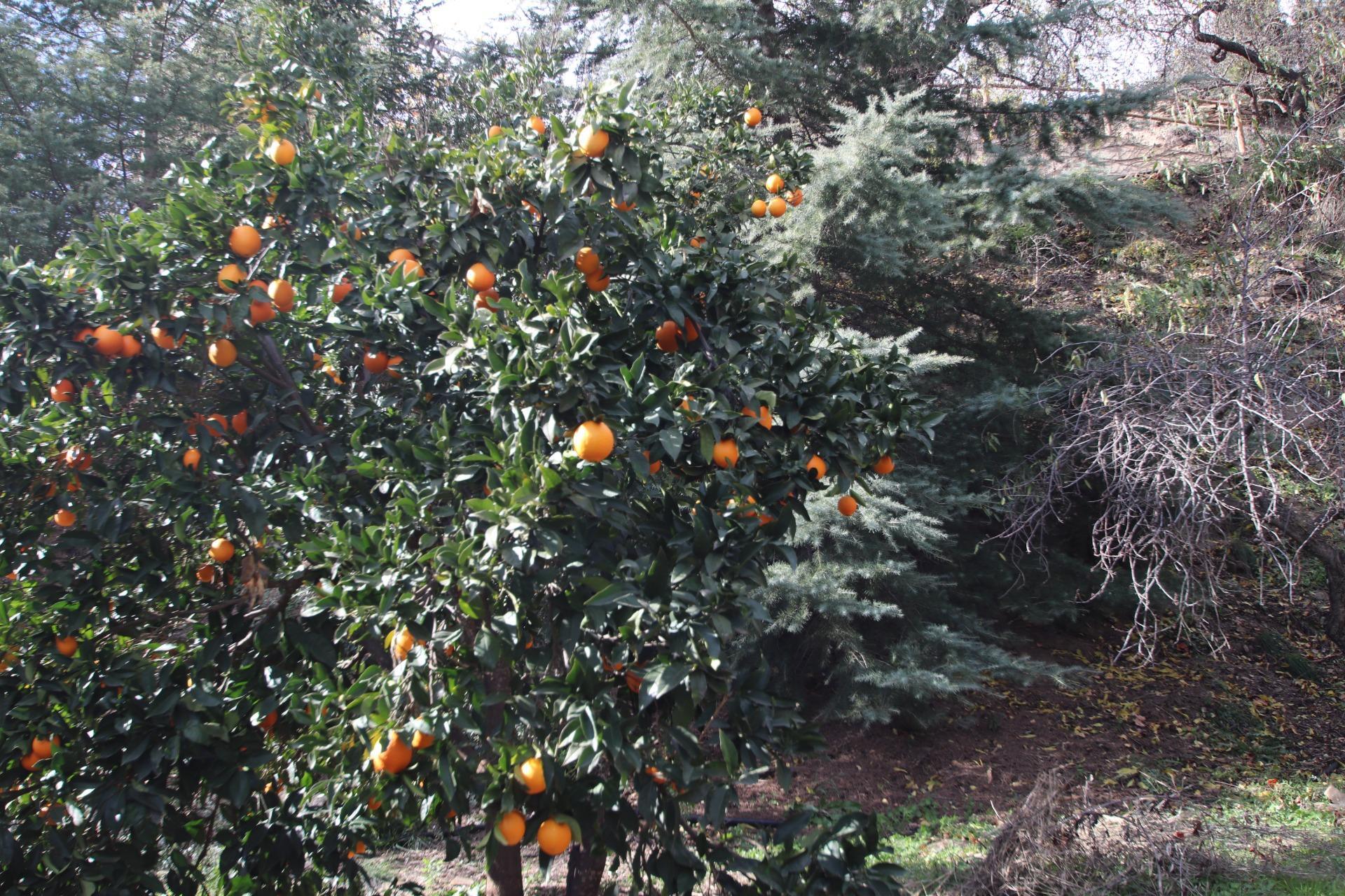 Pisos-Venta-La Granada-2031402-Foto-21