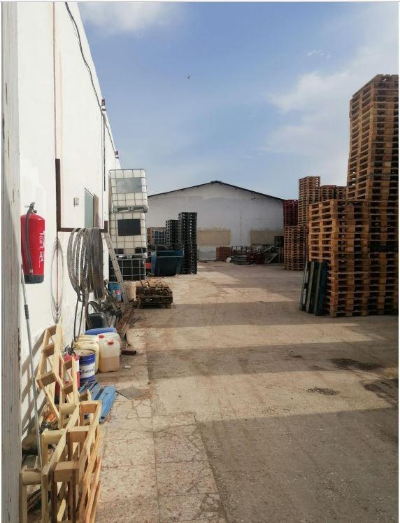 Naves-Venta-Catral-2015713-Foto-2