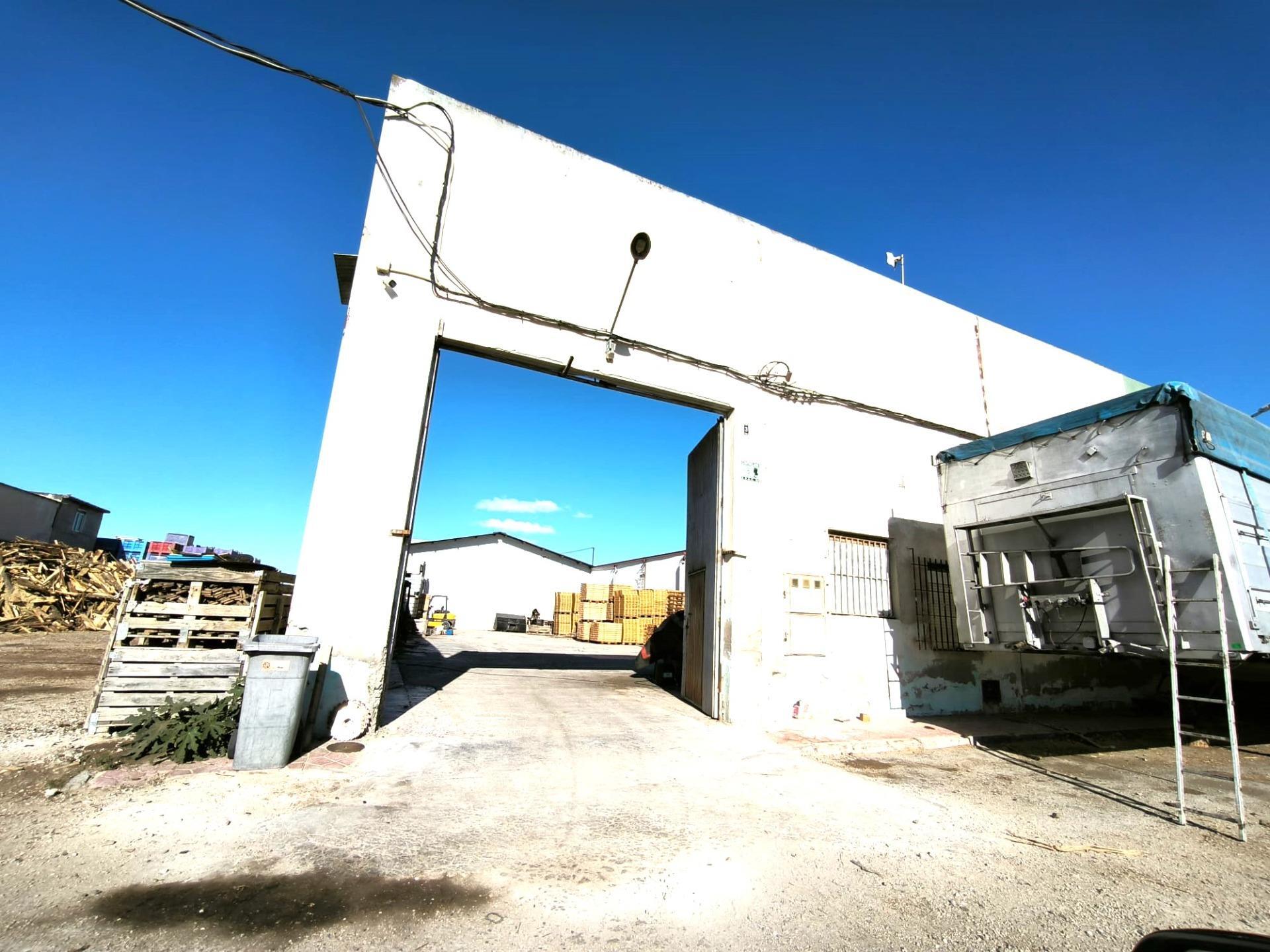 Naves-Venta-Catral-2015713-Foto-12