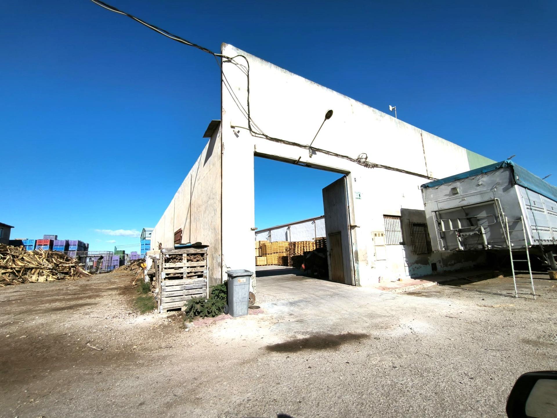 Naves-Venta-Catral-2015713-Foto-13