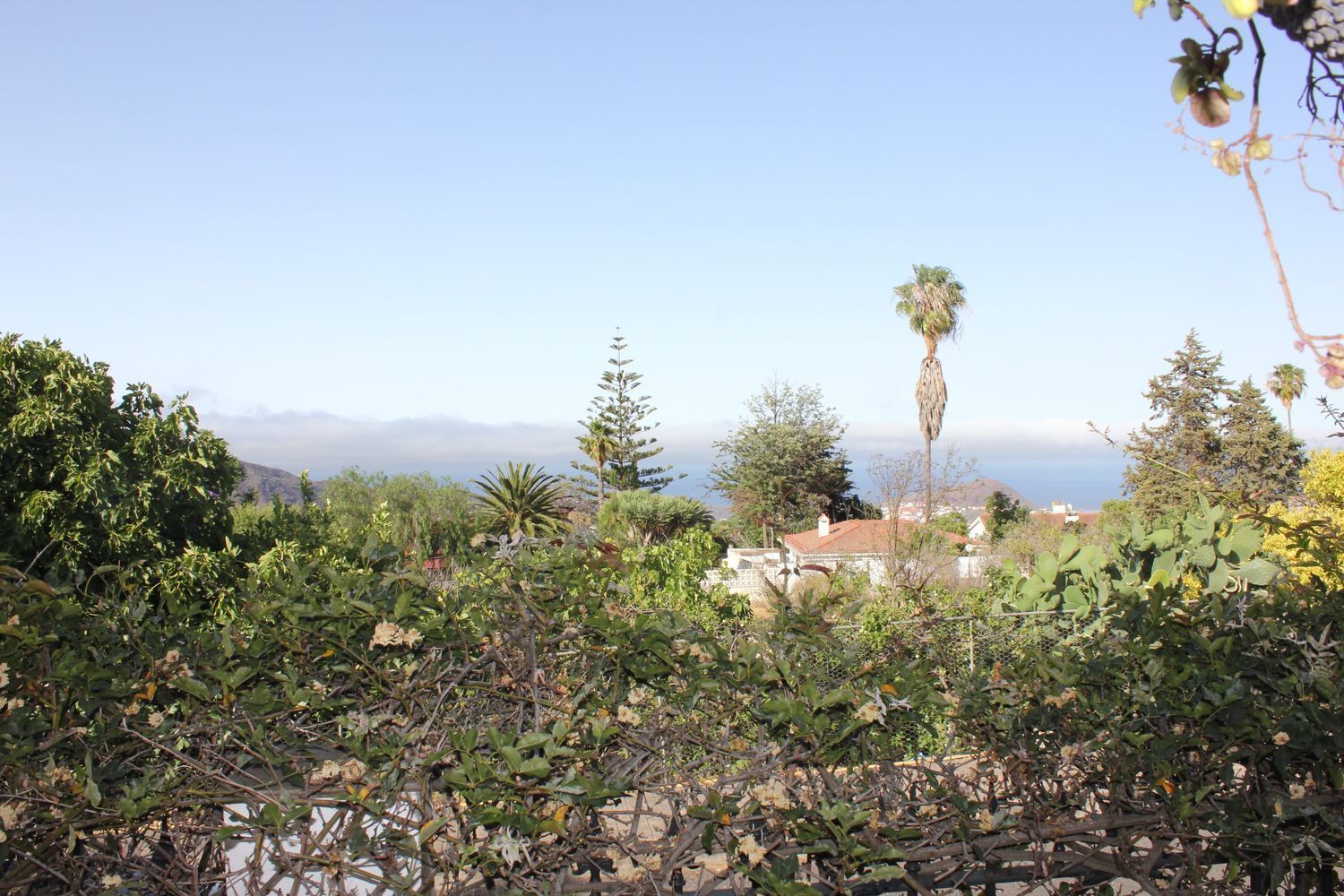 Casas o chalets-Venta-Valsequillo de Gran Canaria-1767045-Foto-61