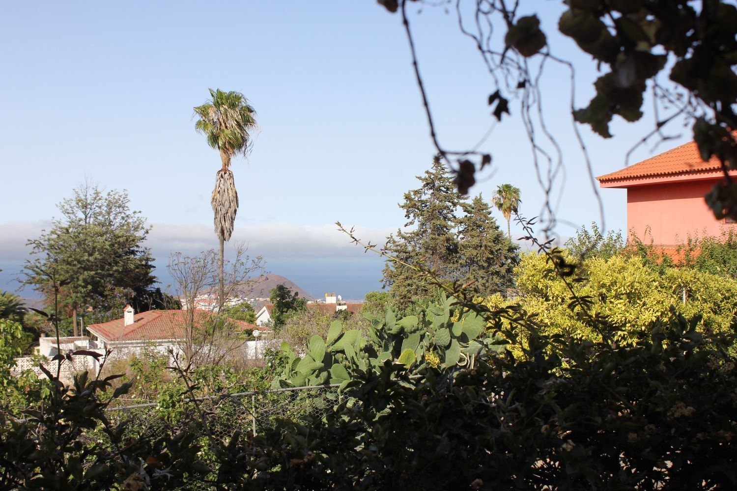 Casas o chalets-Venta-Valsequillo de Gran Canaria-1767045-Foto-62