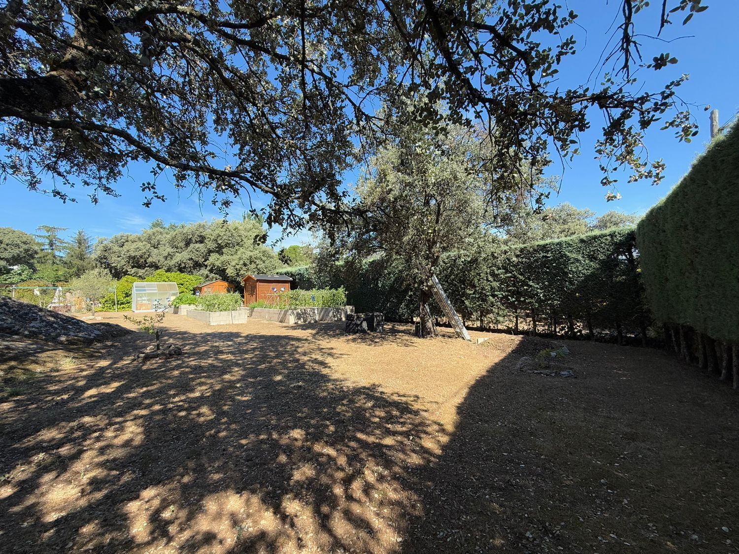 Casas o chalets-Venta-Valdemorillo-1834879-Foto-41