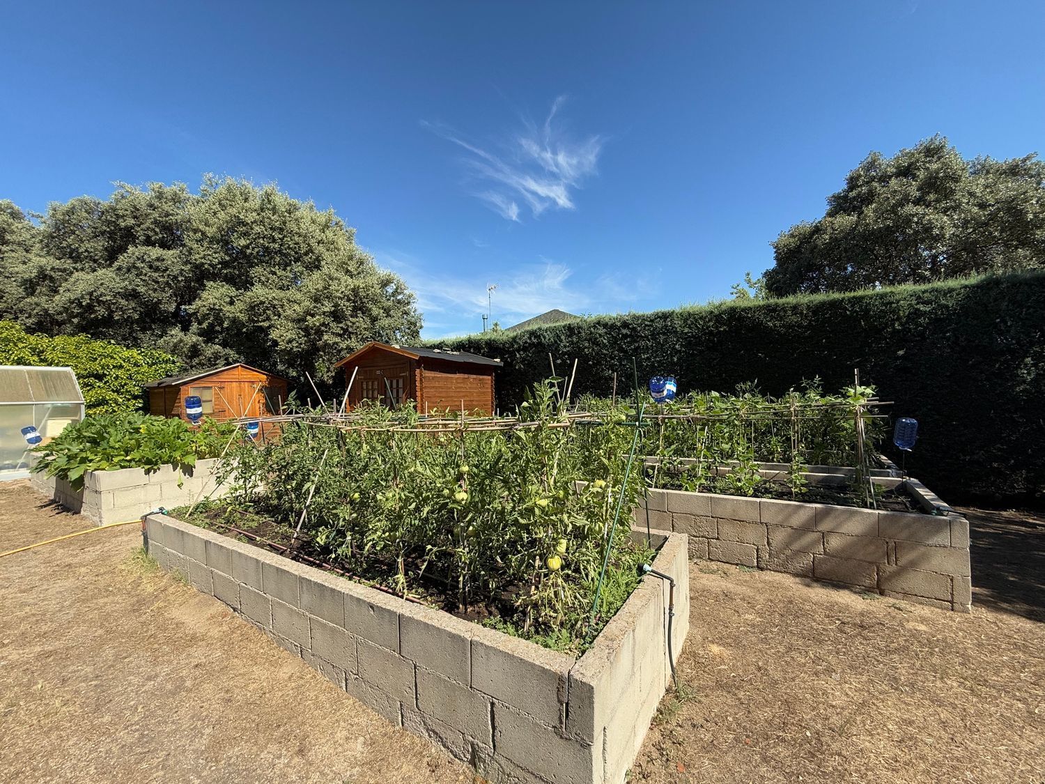 Casas o chalets-Venta-Valdemorillo-1834879-Foto-44