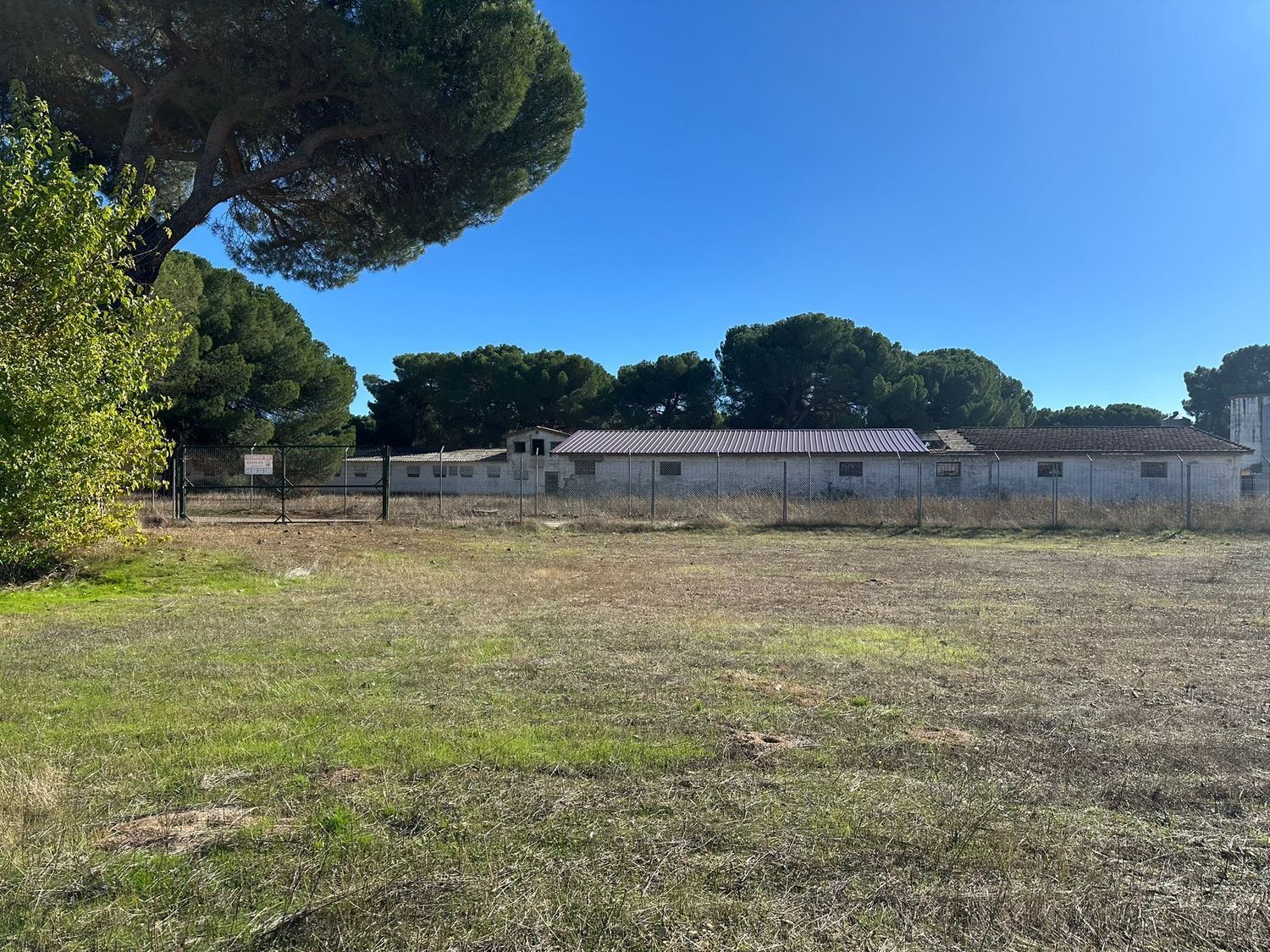 Fincas y solares-Venta-Simancas-1969714-Foto-18