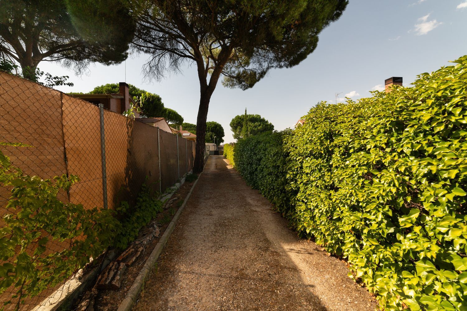 Casas o chalets-Venta-Tudela de Duero-1395348-Foto-7