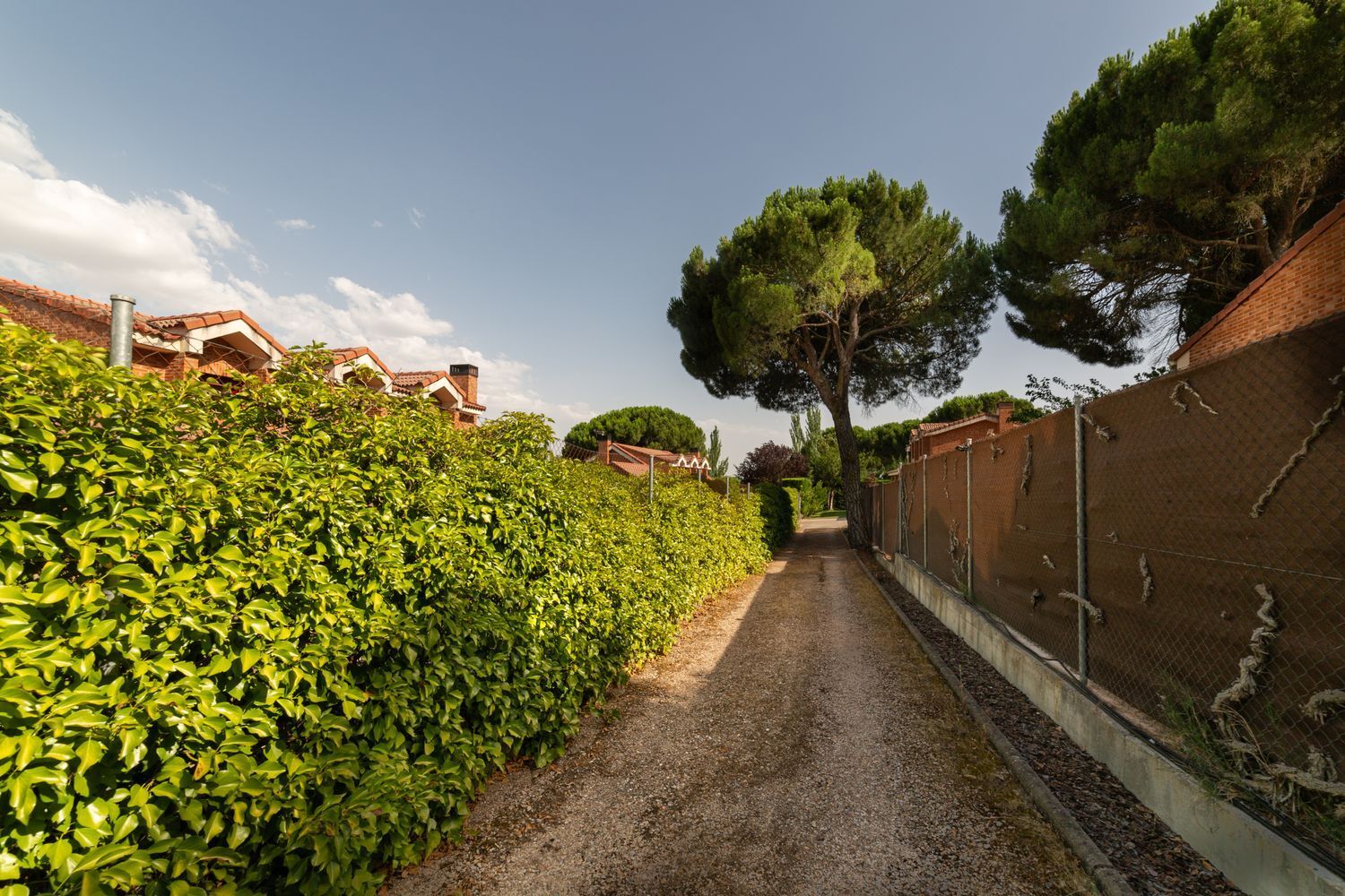 Casas o chalets-Venta-Tudela de Duero-1395348-Foto-8