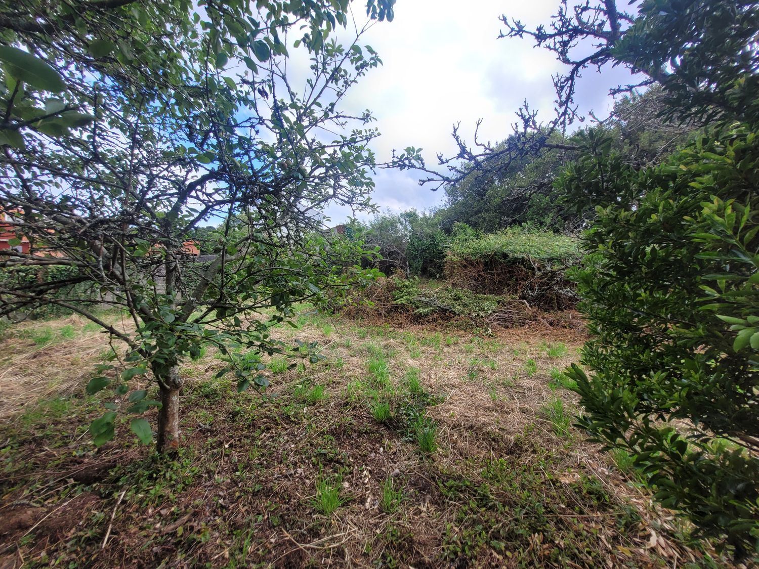 Casas o chalets-Venta-Ribeira-1233184-Foto-59