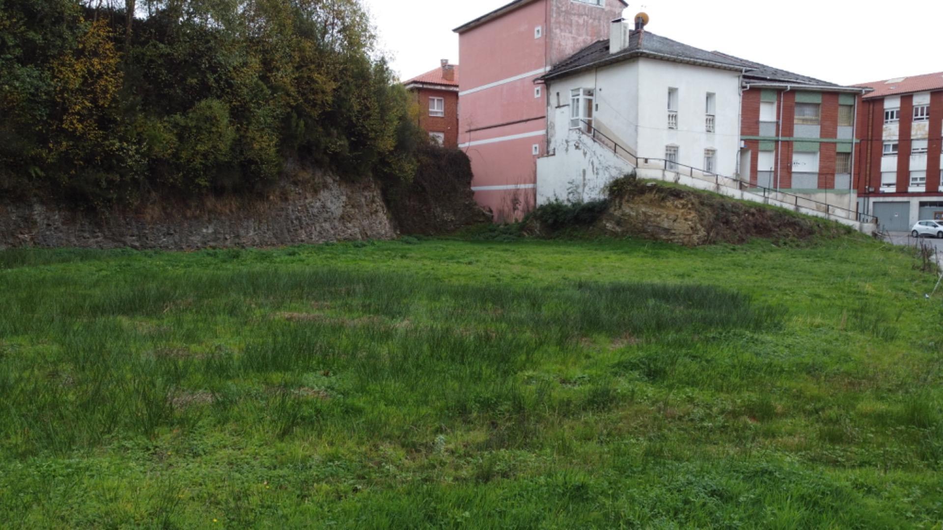 Fincas y solares-Venta-Tineo-2032107